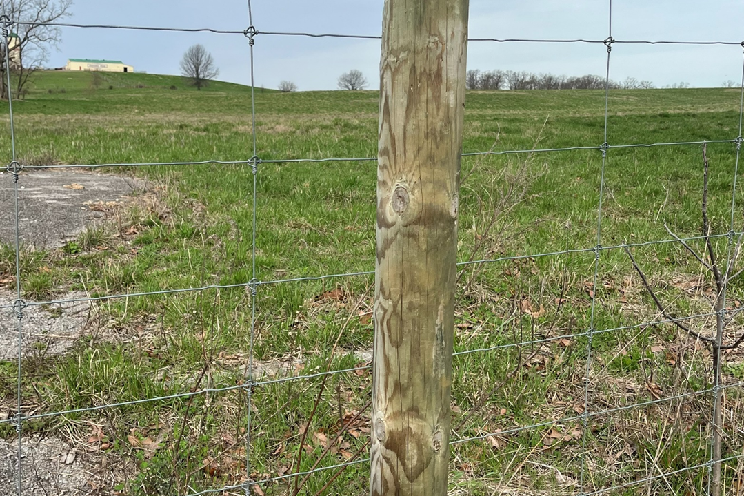 Choose the right fence for your grazing system