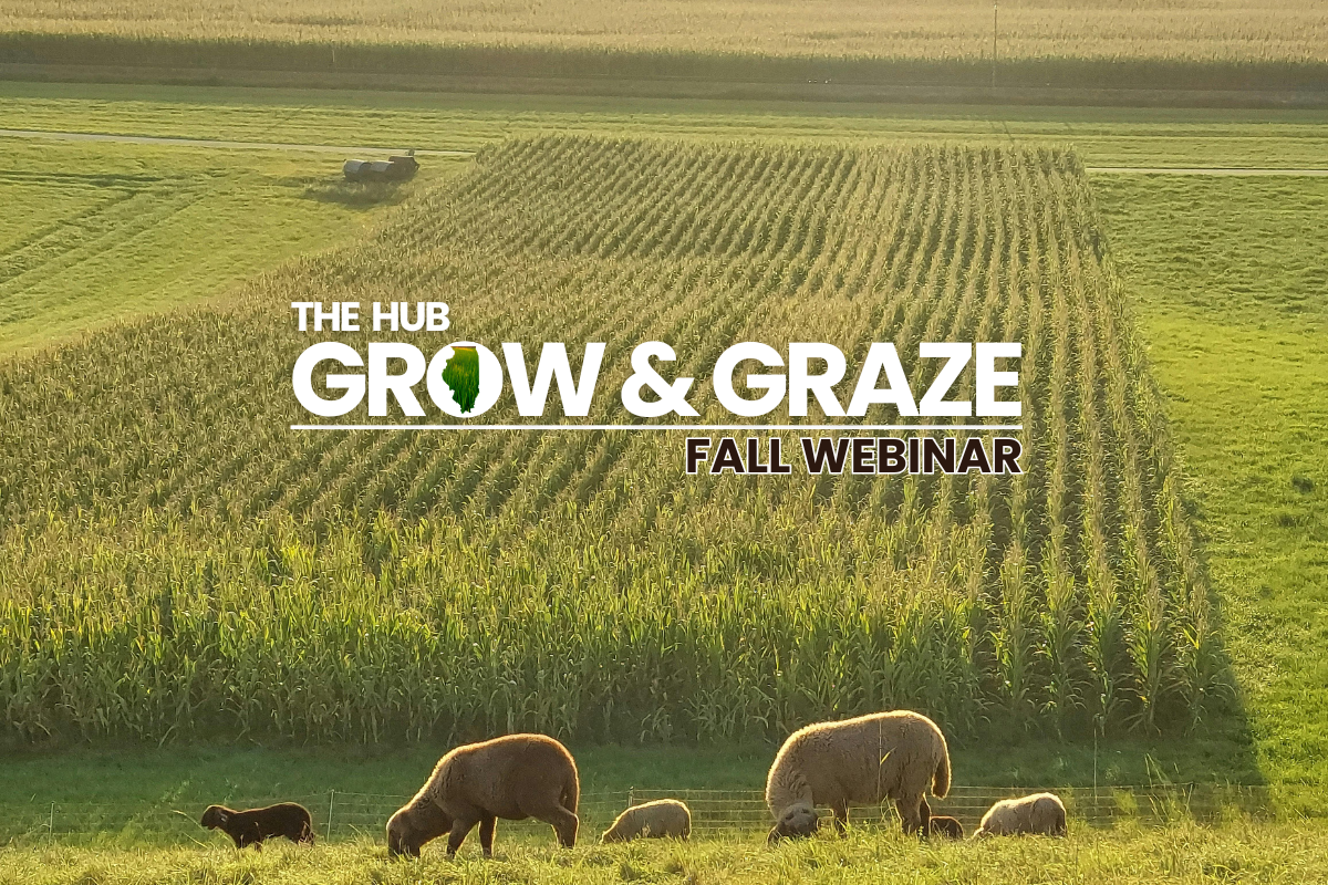 Using Drones to Interseed Cover Crops This Fall