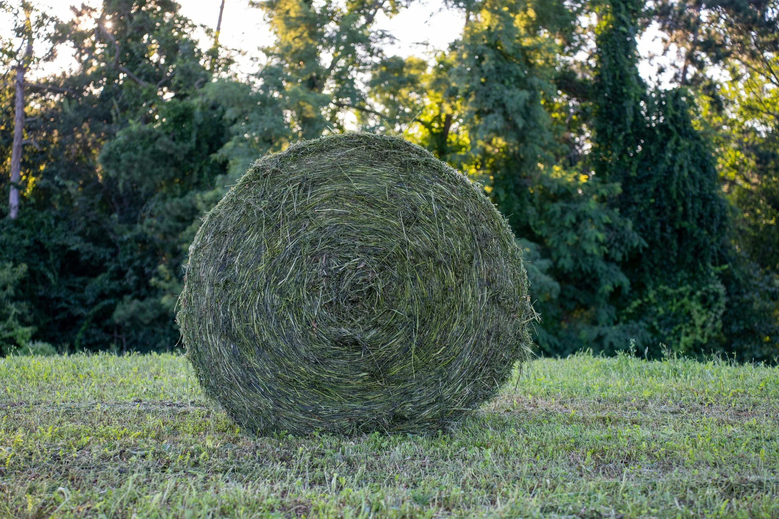 hay bale