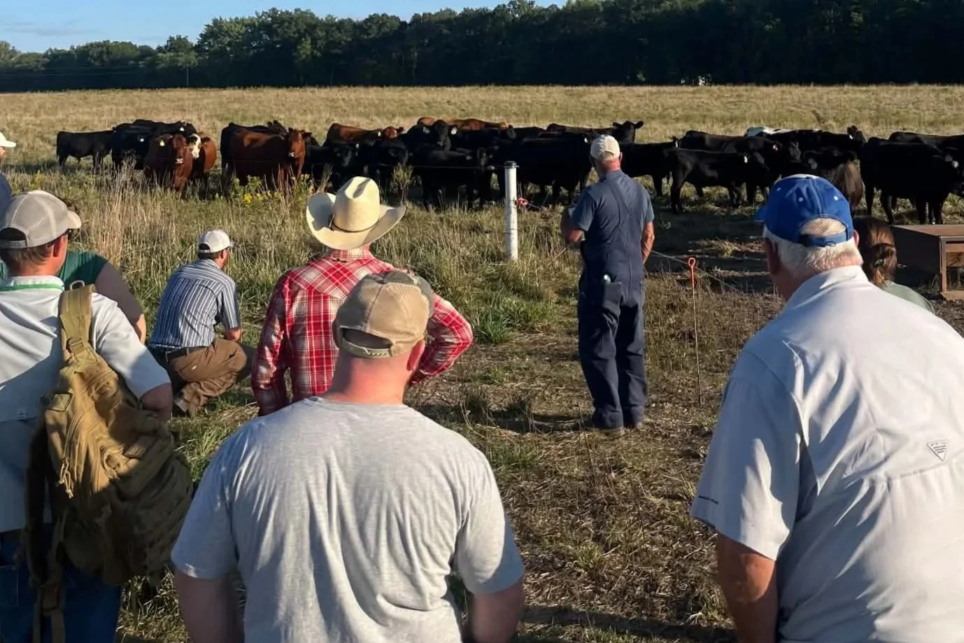men standing in pasture looking at cattle