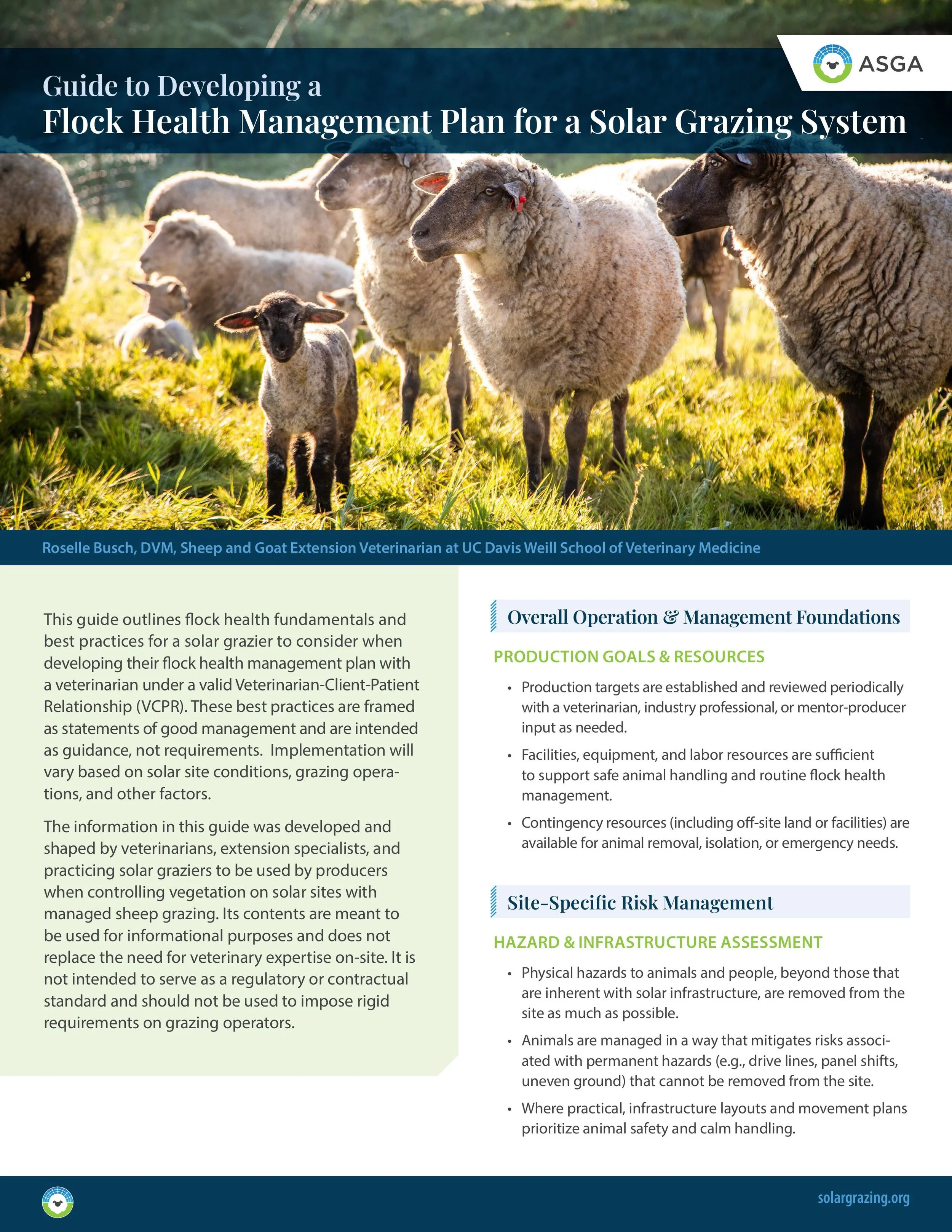 cover of flock health management publication