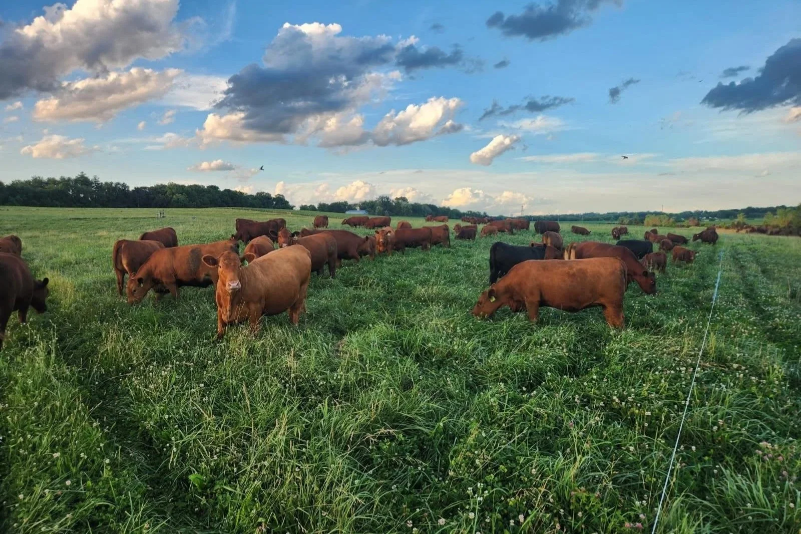 Going ‘all-in’ on sustaining natural systems