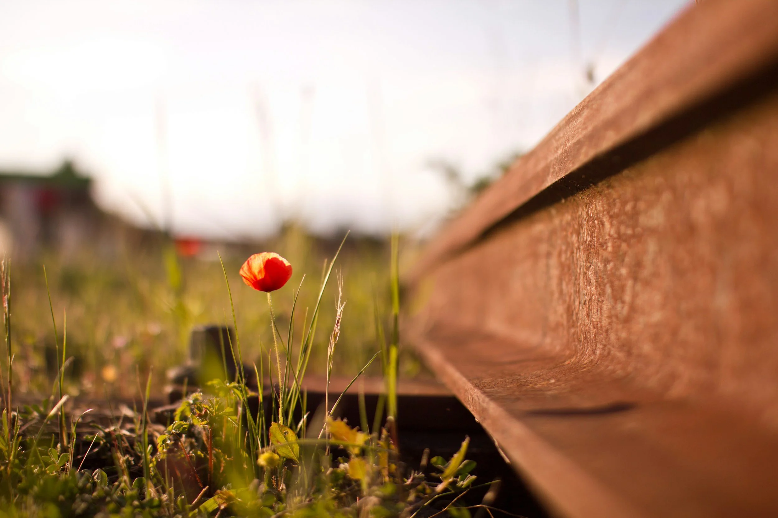 Consistency Wins: What Great Tax Support and Fitness Have in Common