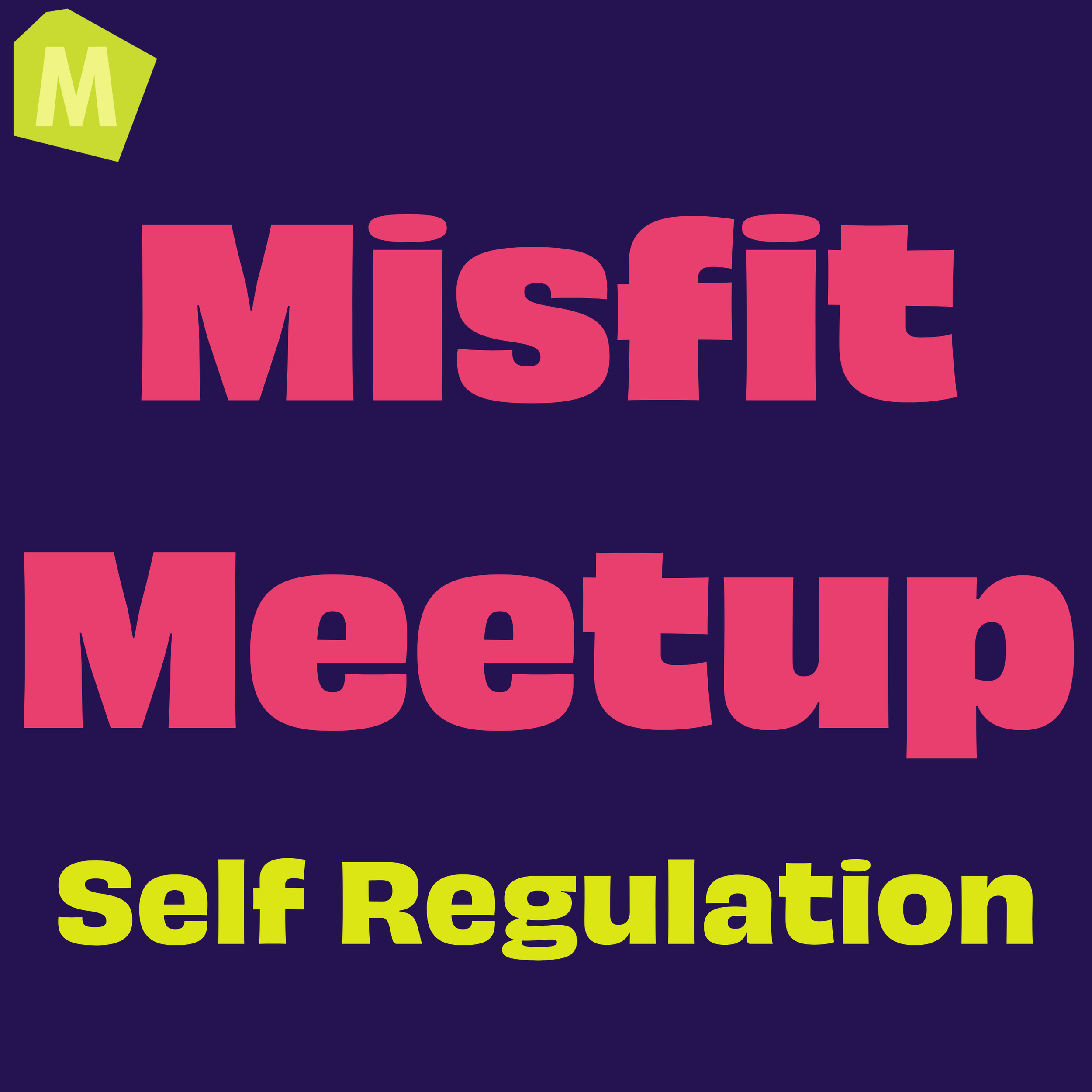Misfit Meetup: Self Regulation