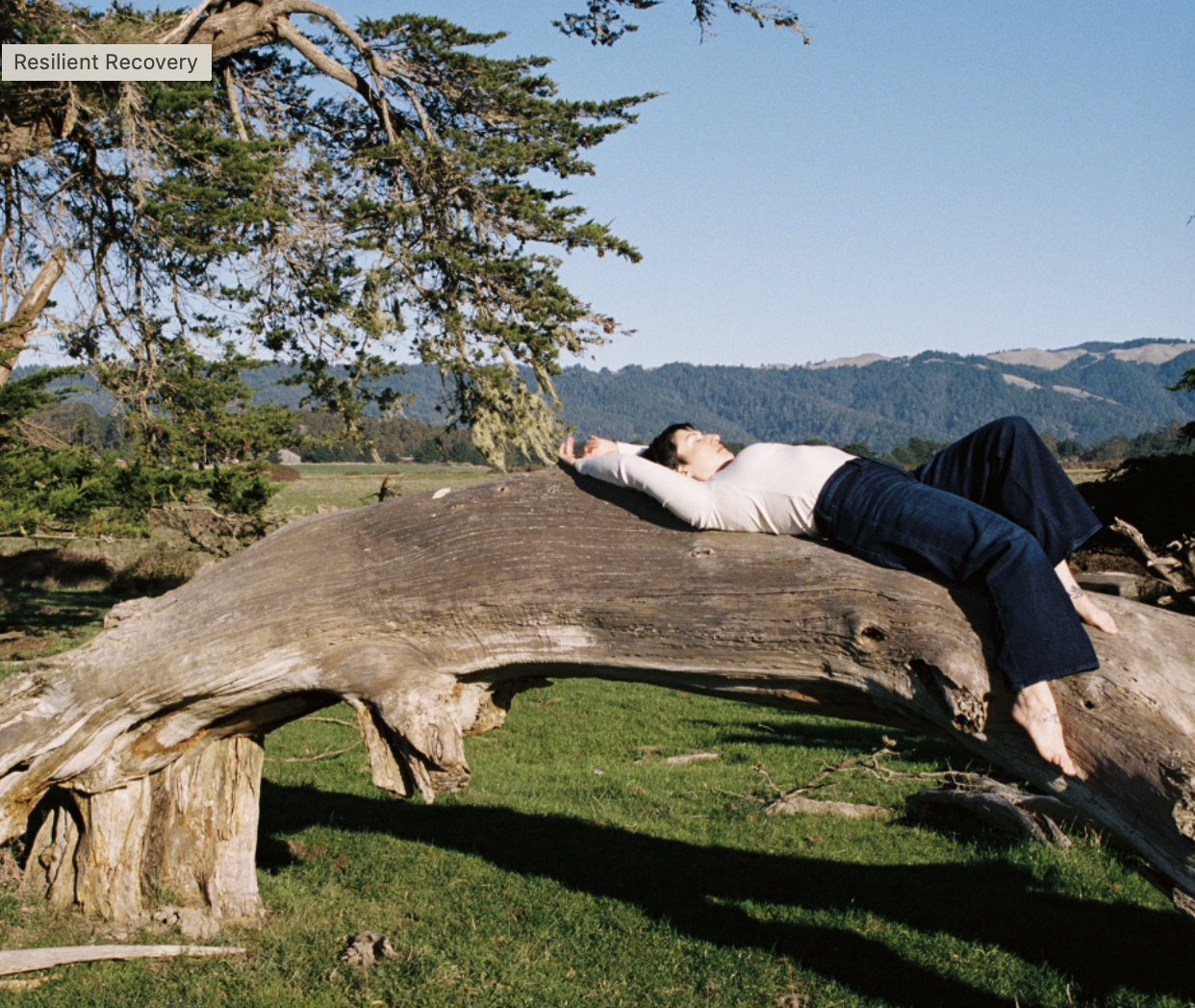 Some of Chelsea's Favorite Somatic Recovery Resources