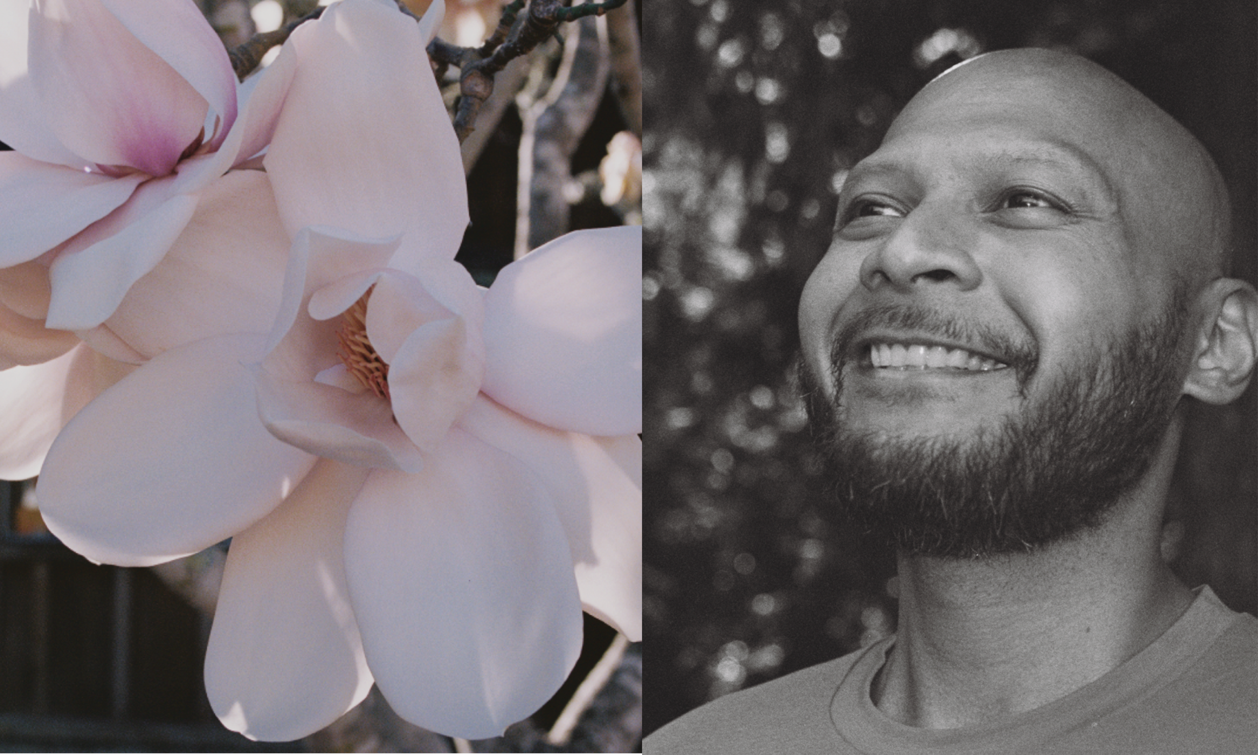 Close-up of pink and white magnolia flowers on a branch on the left side, and a smiling man with a beard and short hair on the right side, in black and white, outdoors with blurred background.