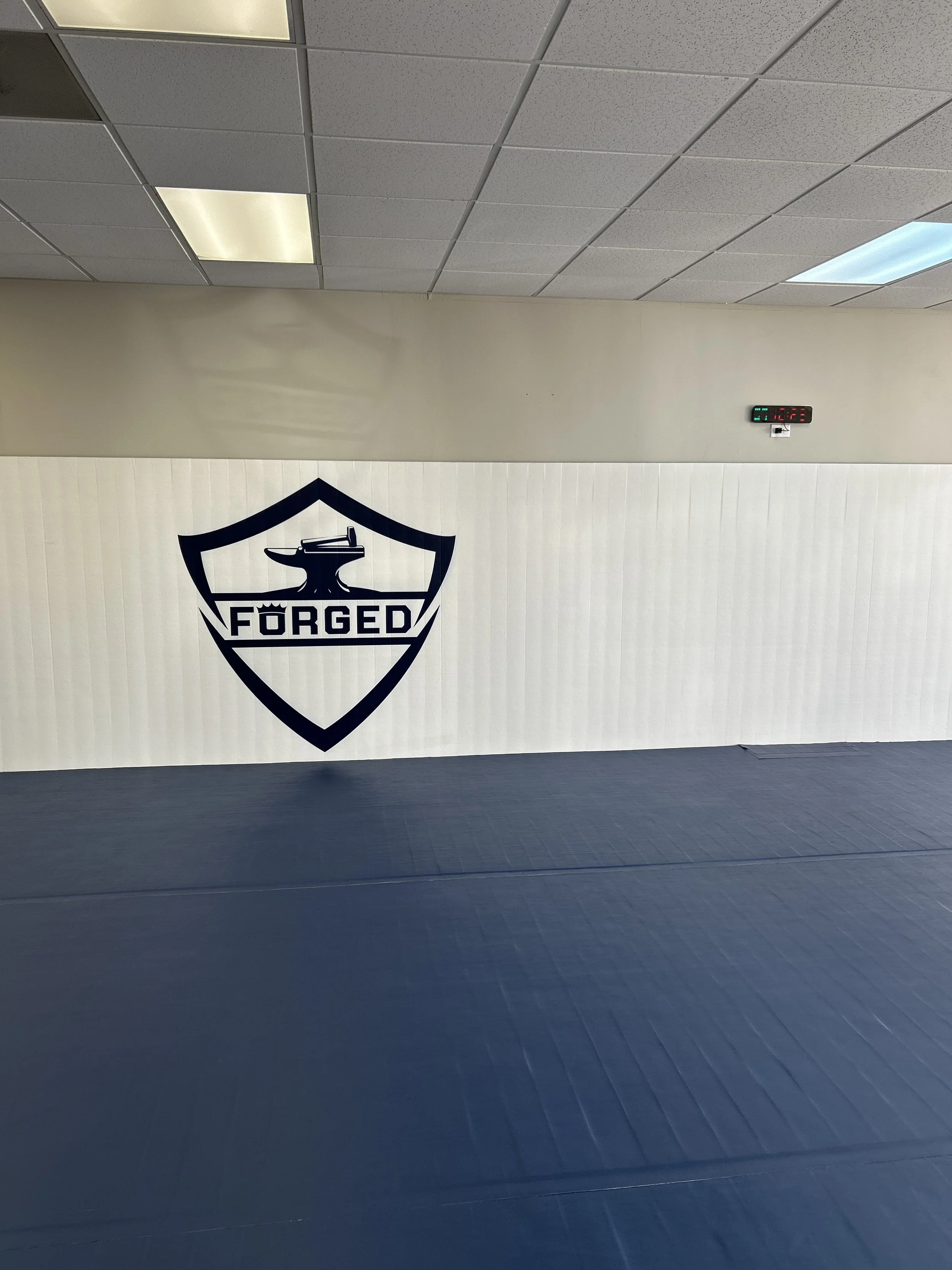 Would We Recommend Forged Jiu Jitsu?