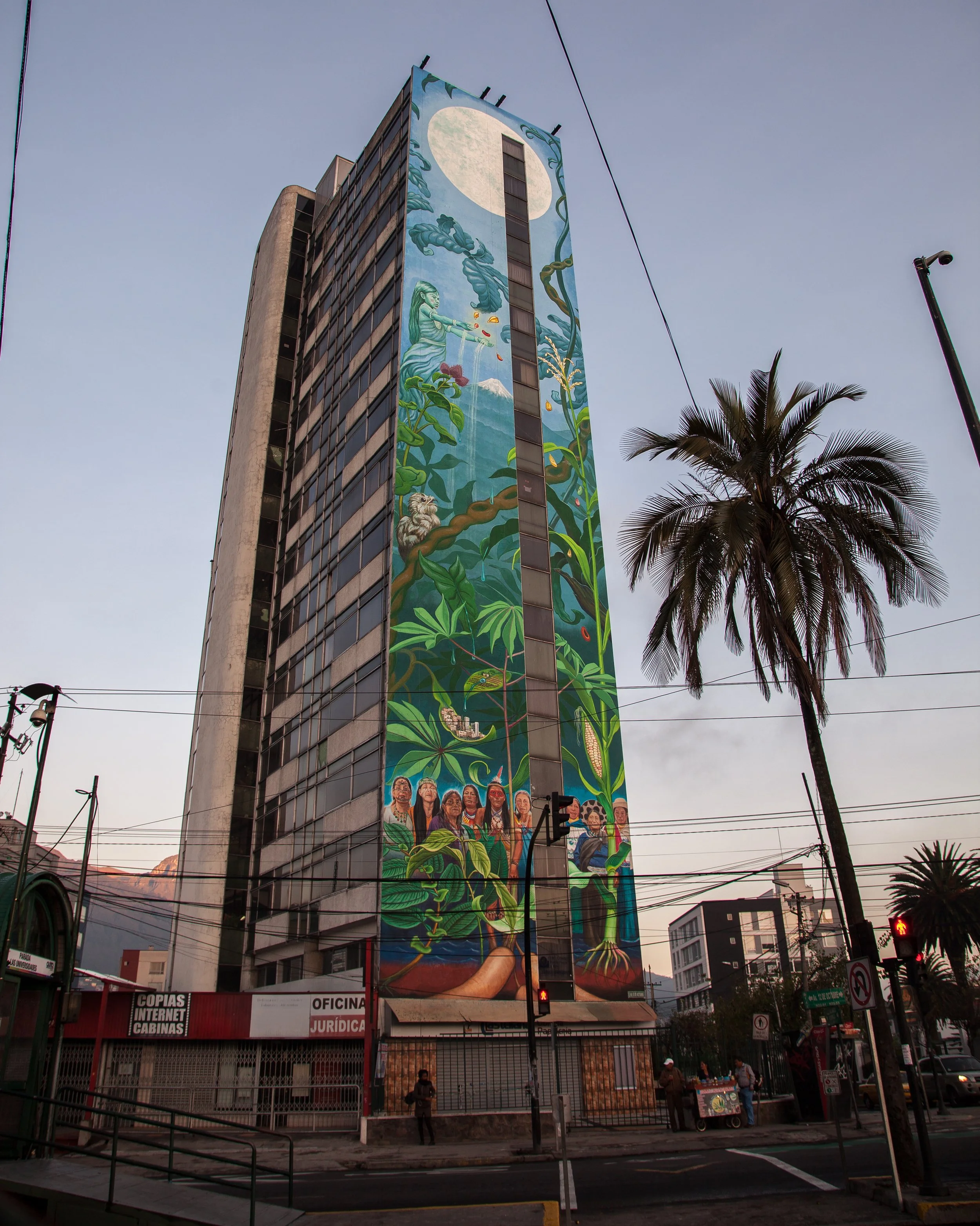 Custodias de Nuestro Habitat 2.jpg