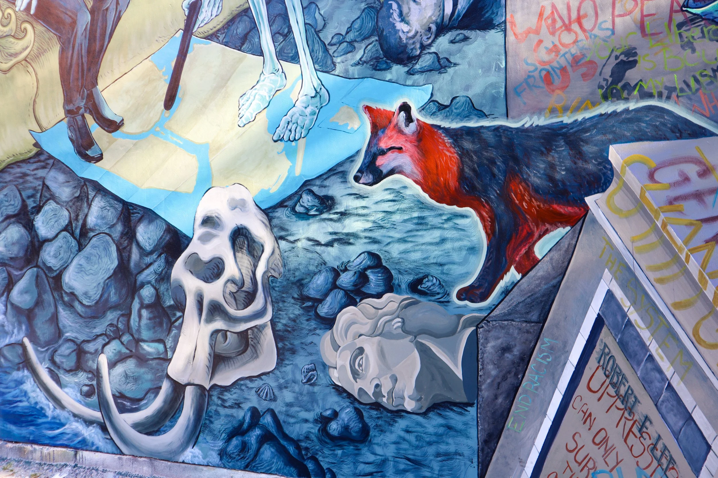 close up 2.jpg