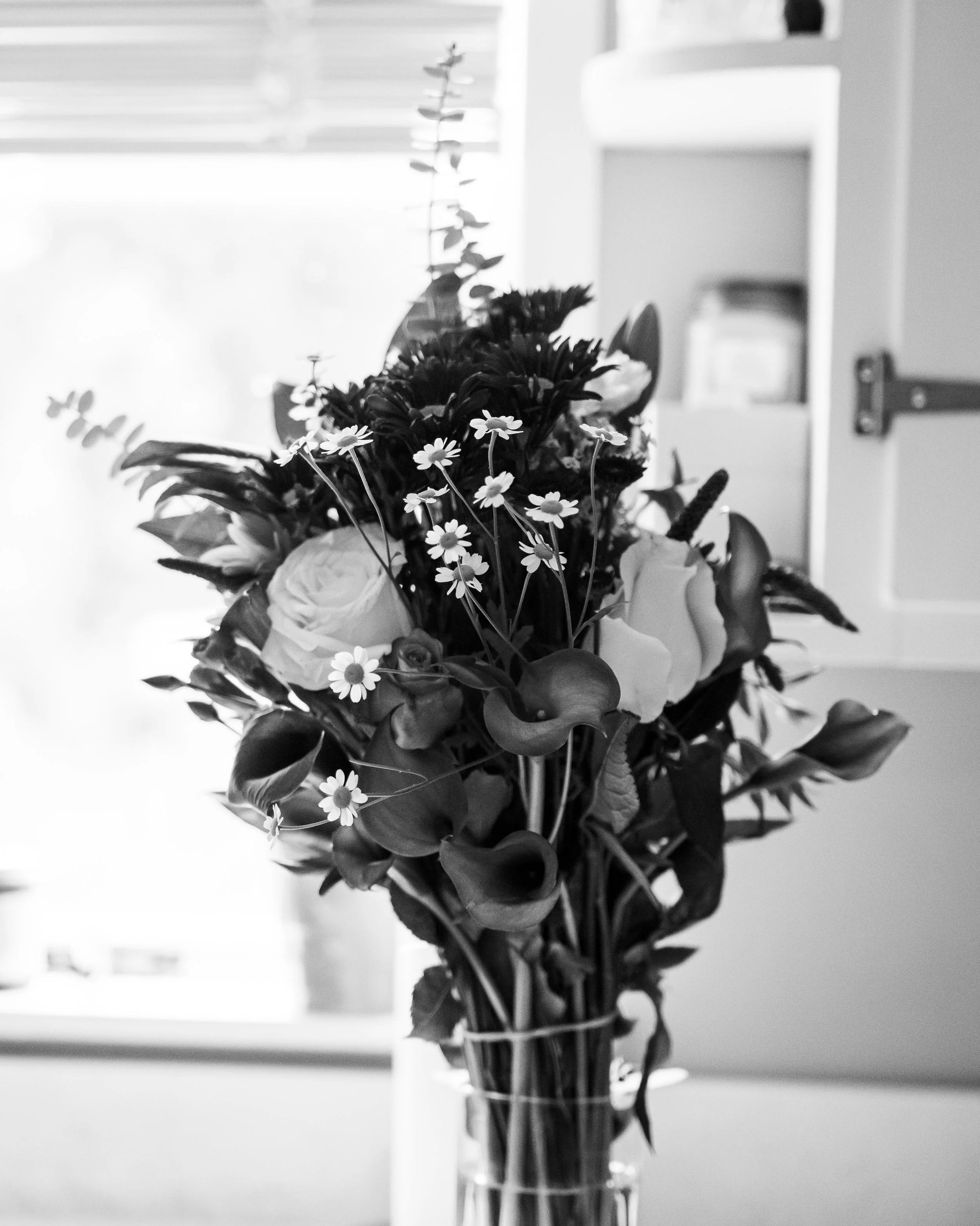 _ADD6451-2.jpg