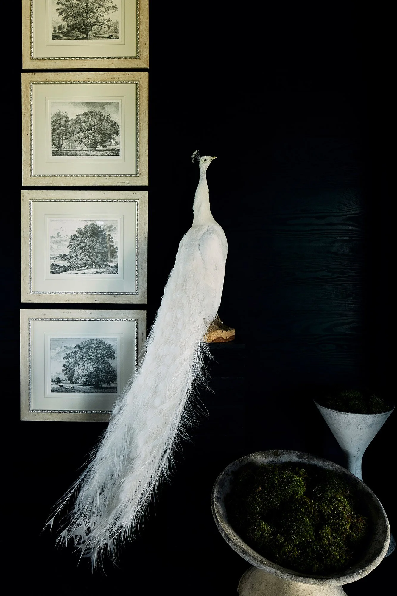 tsbblackhouse-10.jpg