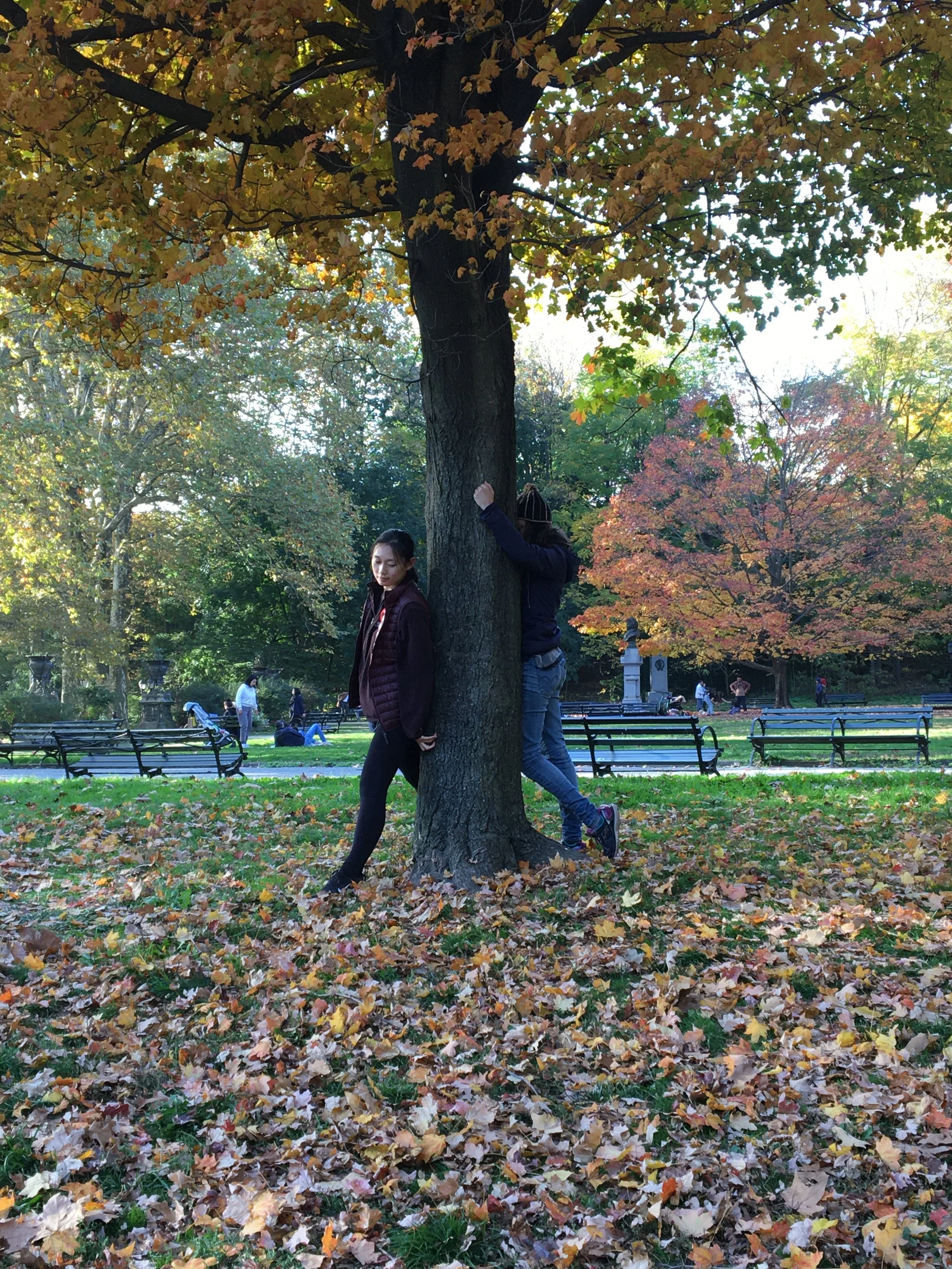 tree time workshop.JPG