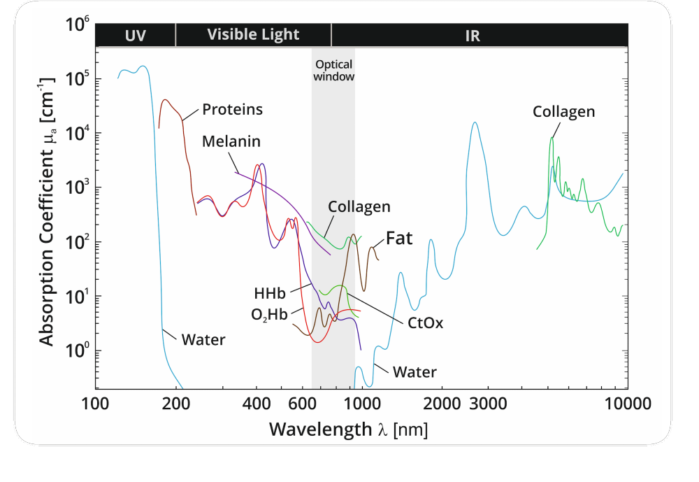 Diagramm zeigt Absorptionskoeffizienten verschiedener biologischer Moleküle über Wellenlängen im UV, sichtbares Licht und IR Bereich, mit Markierungen für Wasser, Proteine, Melanin, Kollagen, Fett, HHb, O2Hb, CtoX.