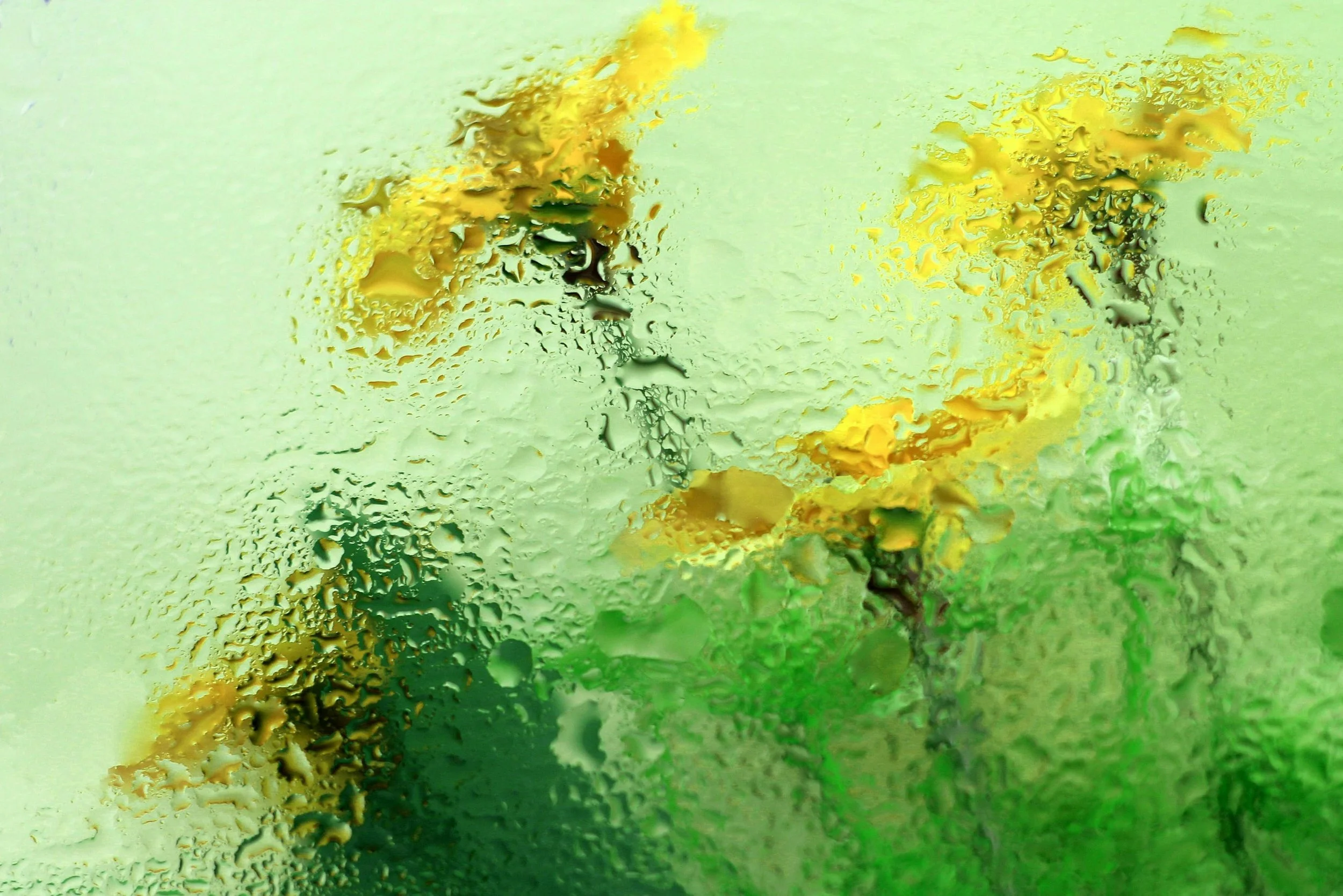 April Showers and DFW Lawns: Preventing Water-Related Problems