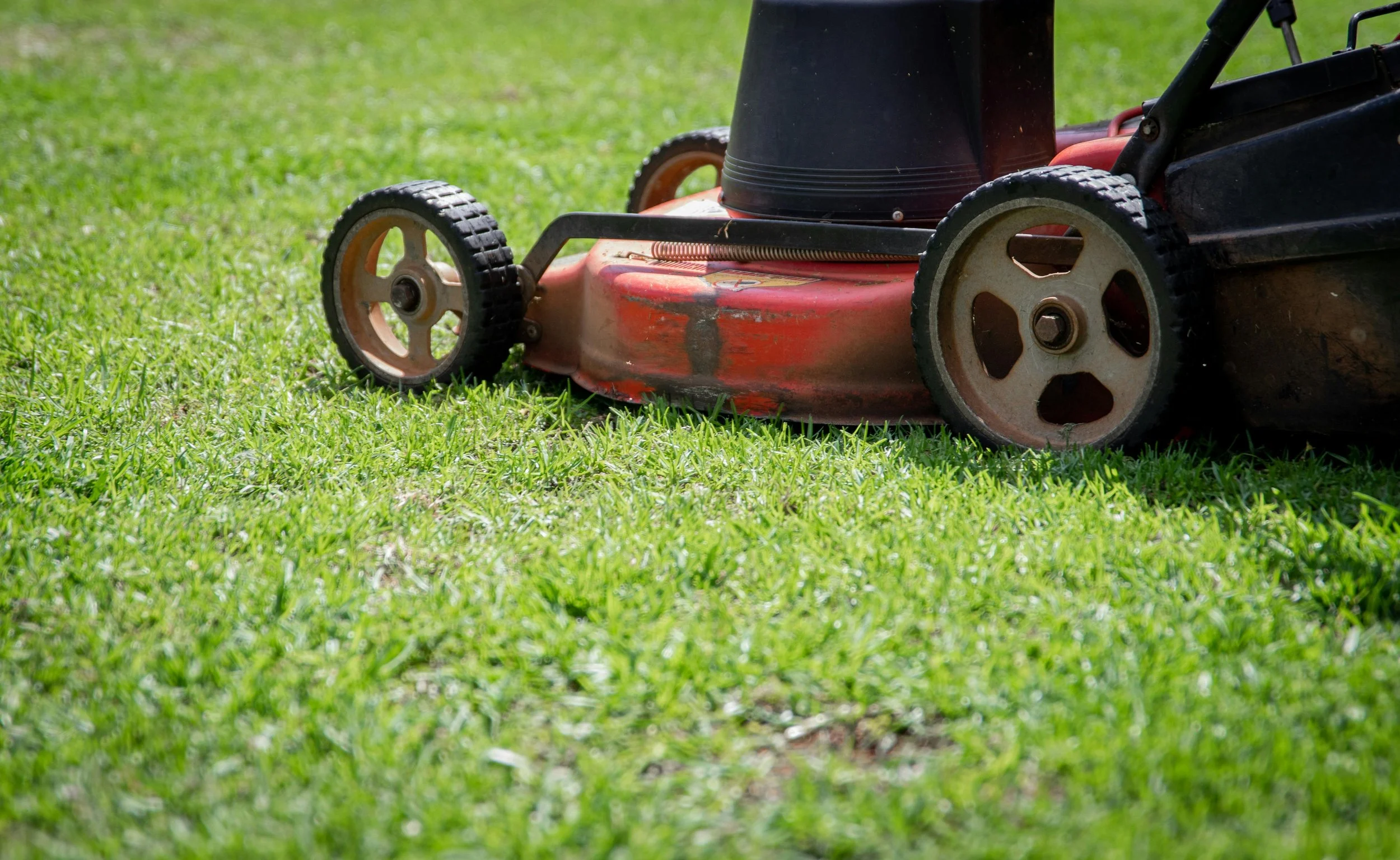 Is Your Lawn Mowing Height Ruining Your Grass? A DFW Homeowner's Guide