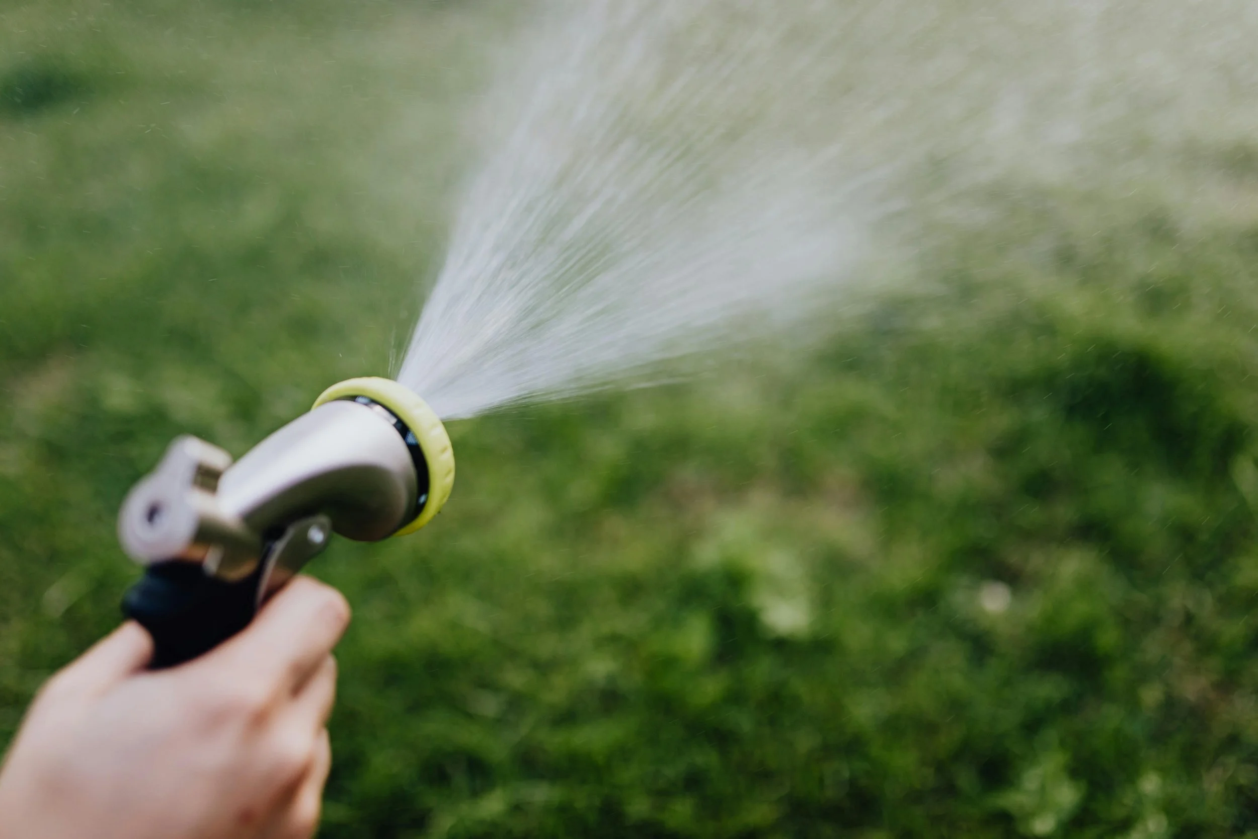 How Often Should You Really Water Your DFW Lawn in Spring?