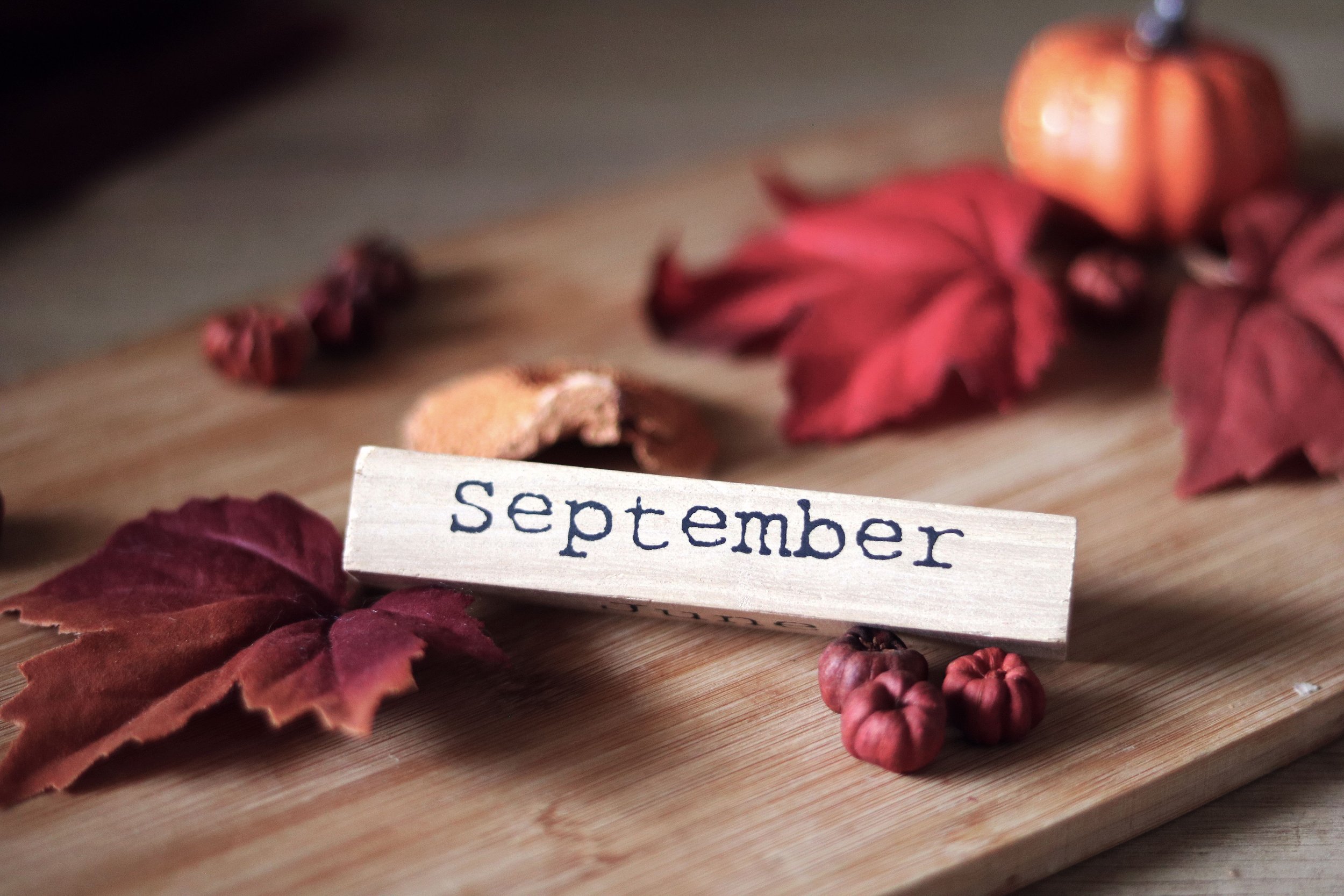 The Season That Quietly Decides Your Lawn's Fall and Winter