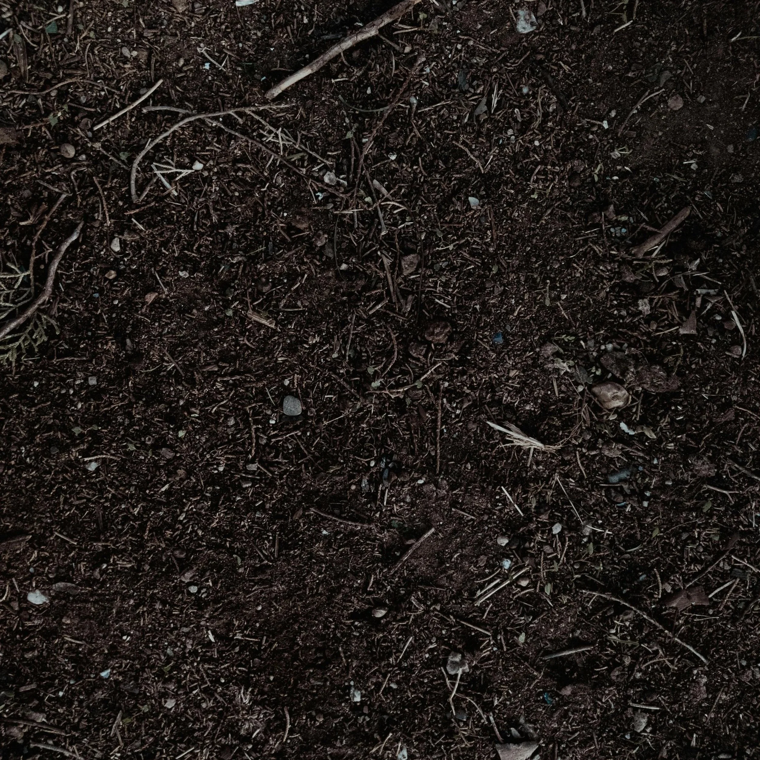 Image of soil for content about soil health for lawn care