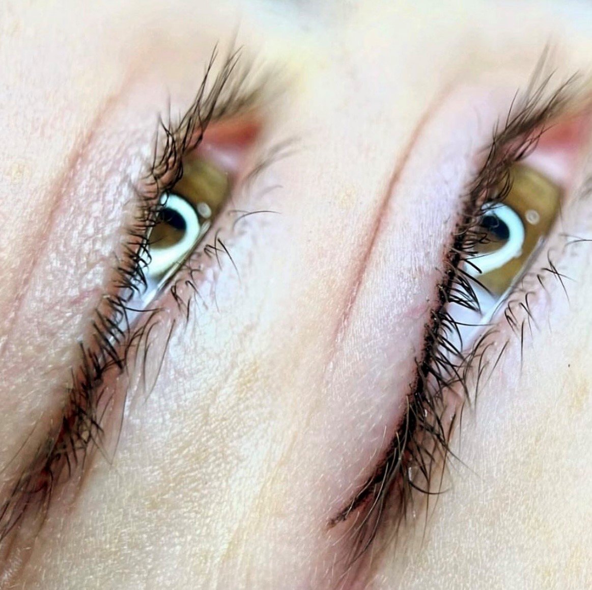 Nahaufnahme von zwei grünen Augen mit langen Wimpern.