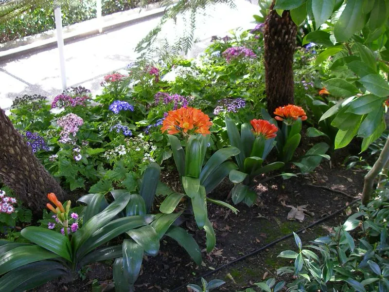 Keep Your Garden Green