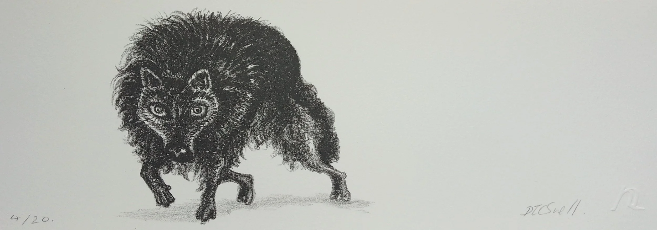 Never Trust a Wolf - Deborah Snell (Unframed)