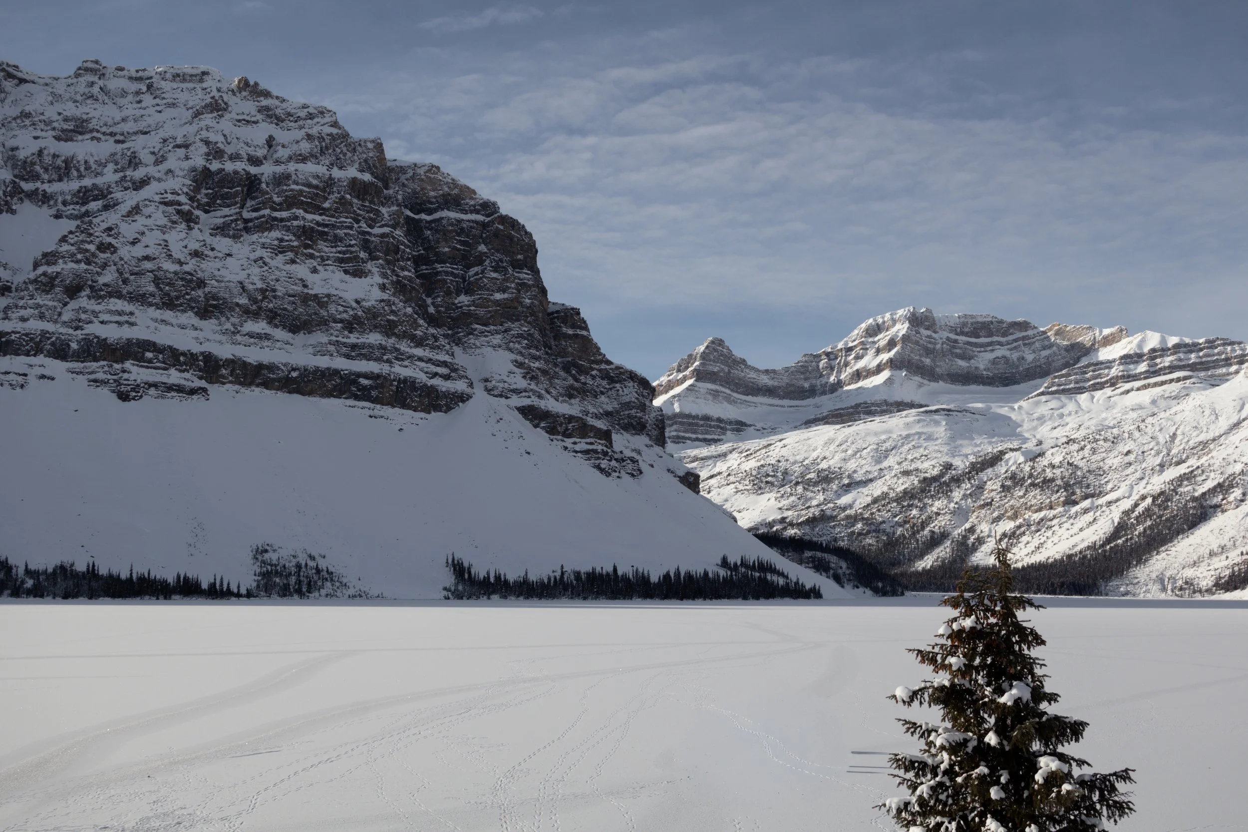 Snow-covered mountains and a frozen lake with tracks, under a partly cloudy sky, with a small snow-laden evergreen tree in the foreground.