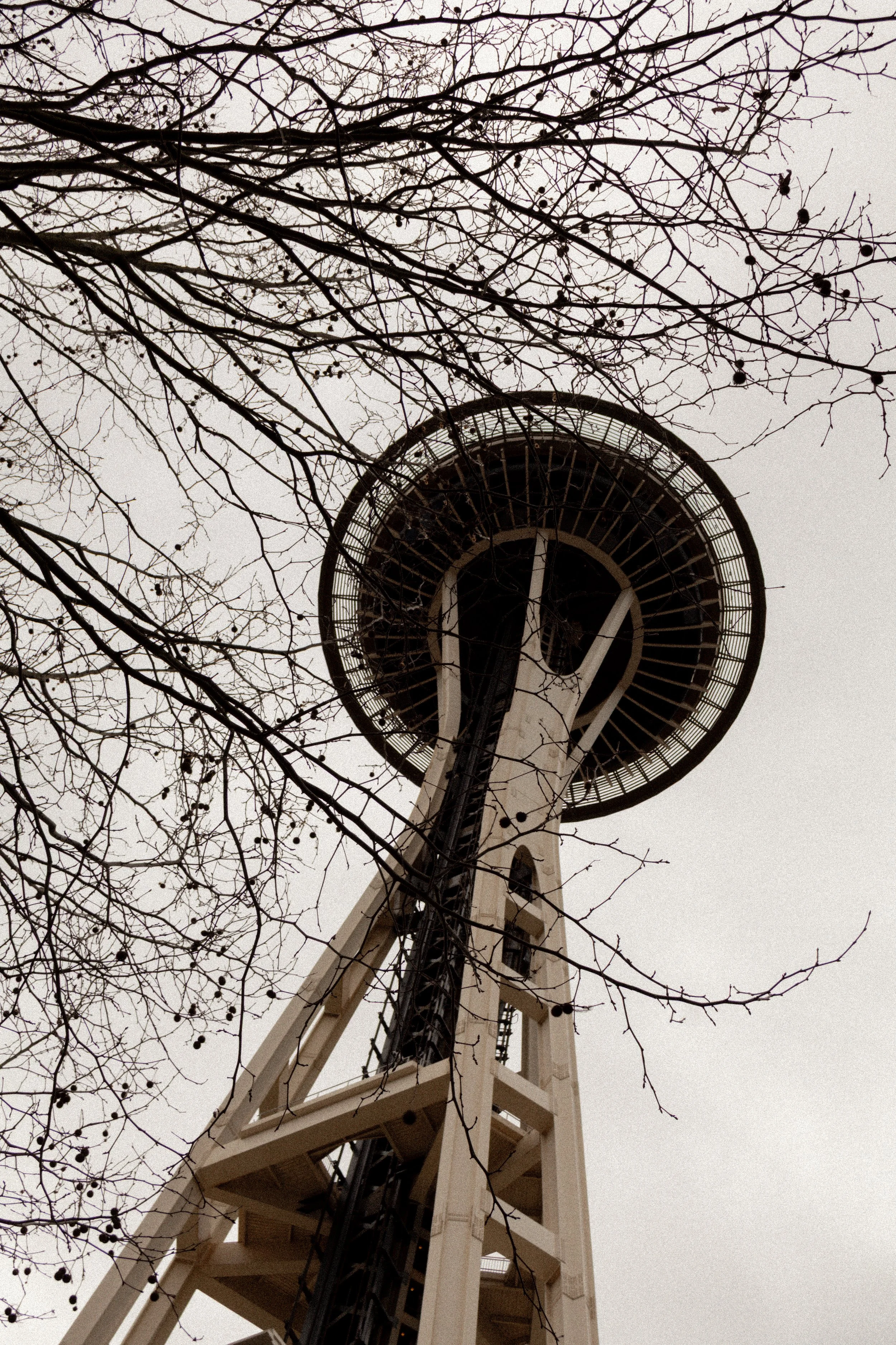The Space Needle viewed from below with leafless tree branches in the foreground.