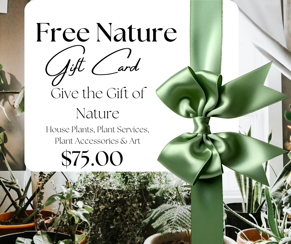 Gift Card Face 75.png