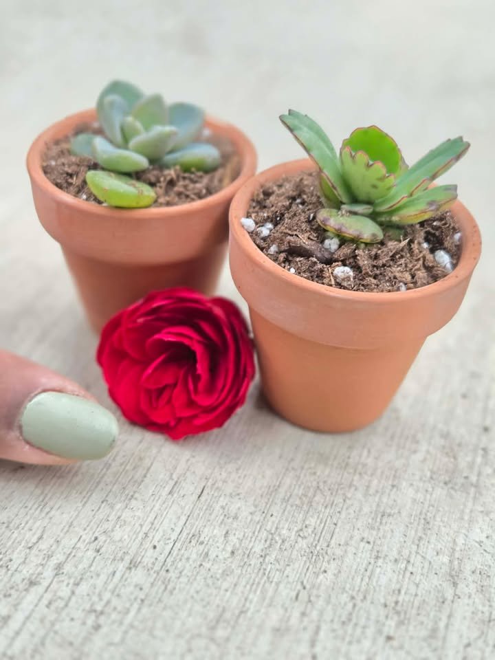 1.5 inch special.jpg