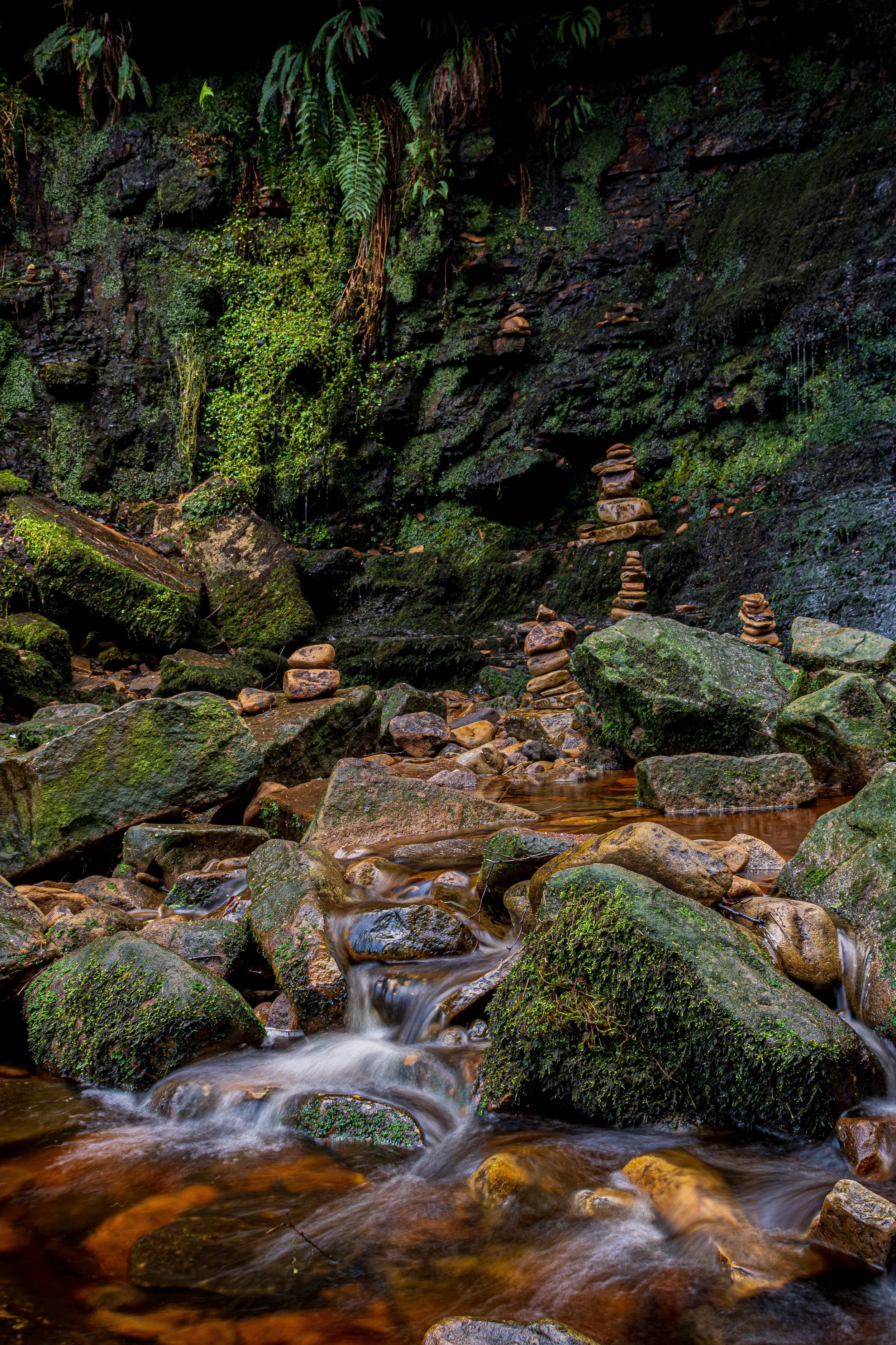 Edited BBC Bitesize (2 of 6).jpg