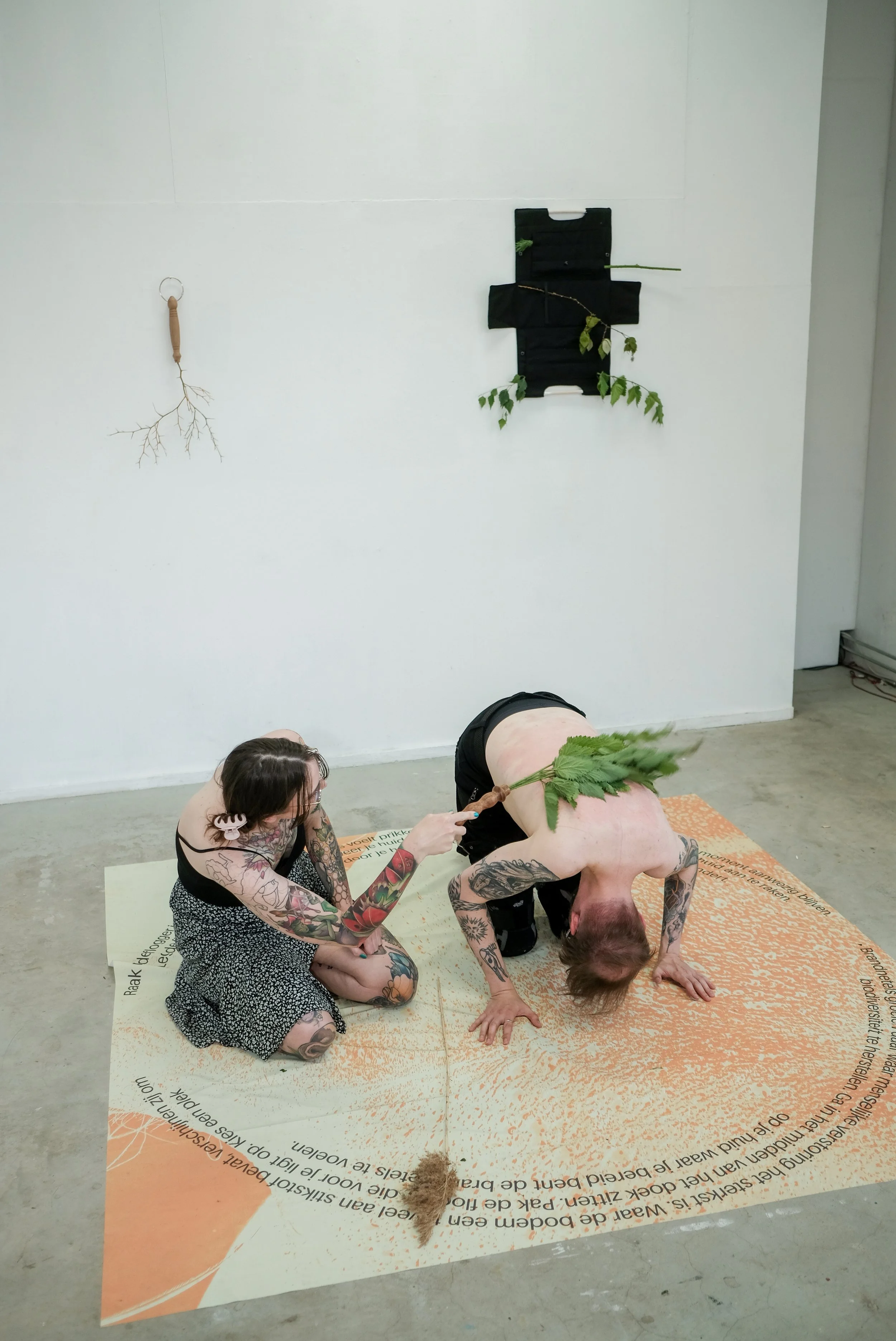 Climate Transition Pleasure — Myrthe Krepel