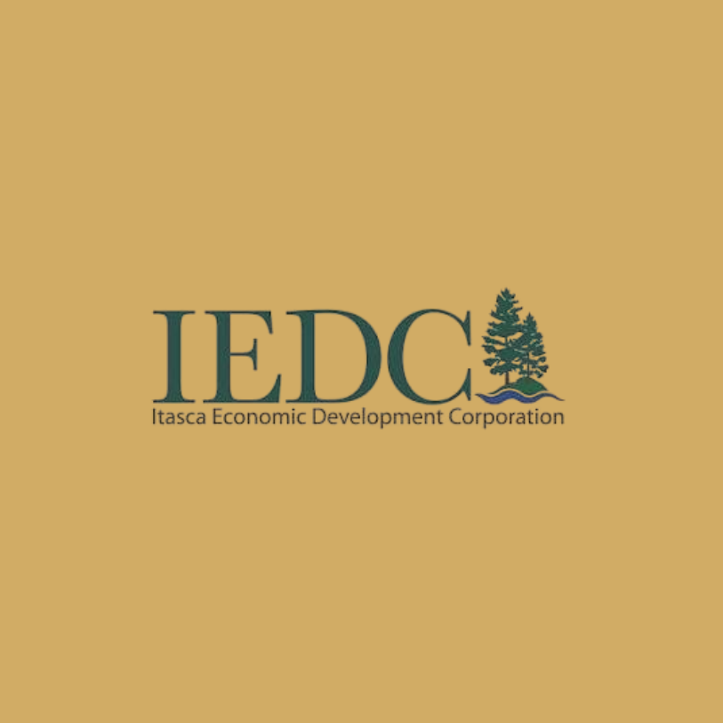 IEDC Case Study Cover.png