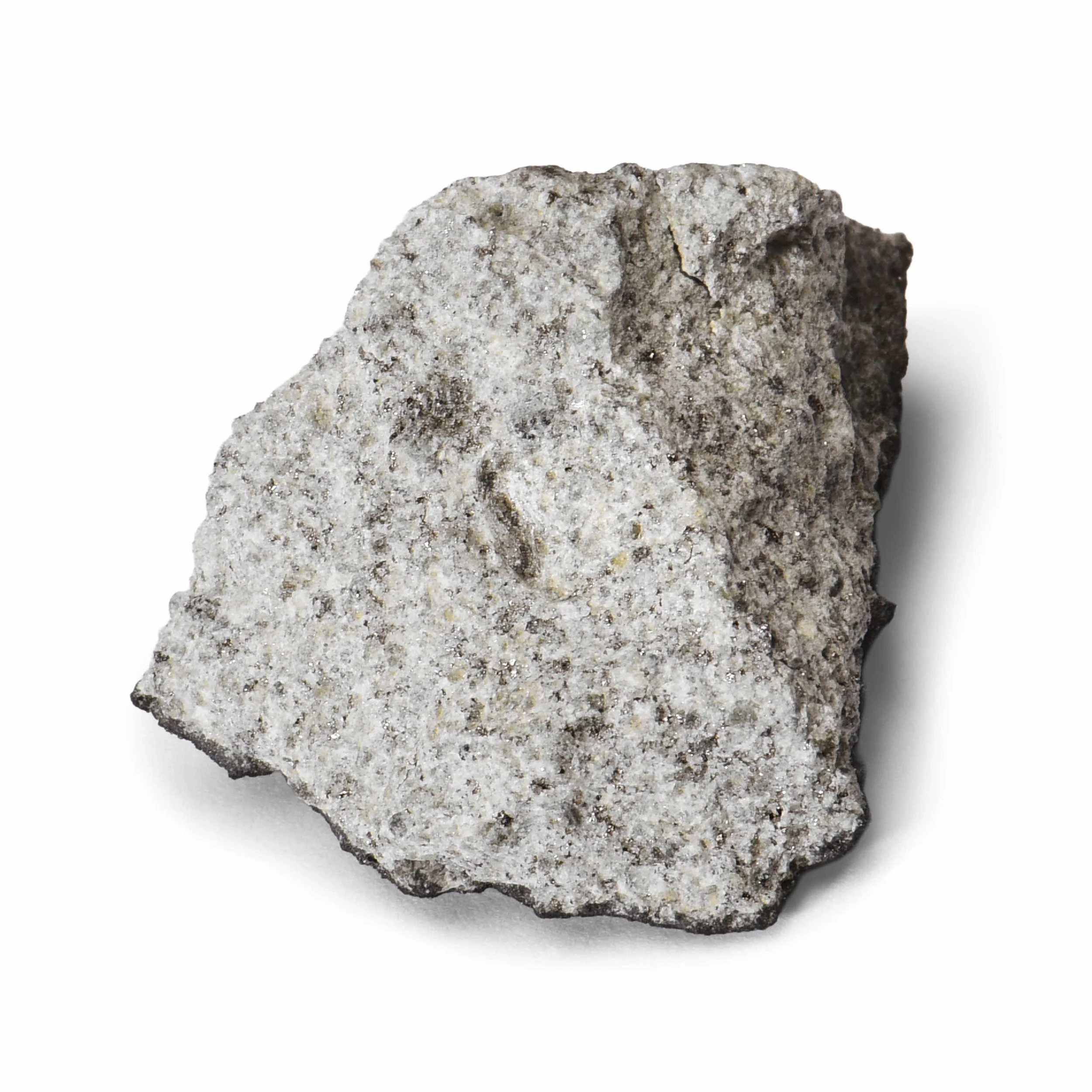 12. WOLCOTT / Fragment / L5 /  Fell 10/15/1972 ($750–900 / $600)