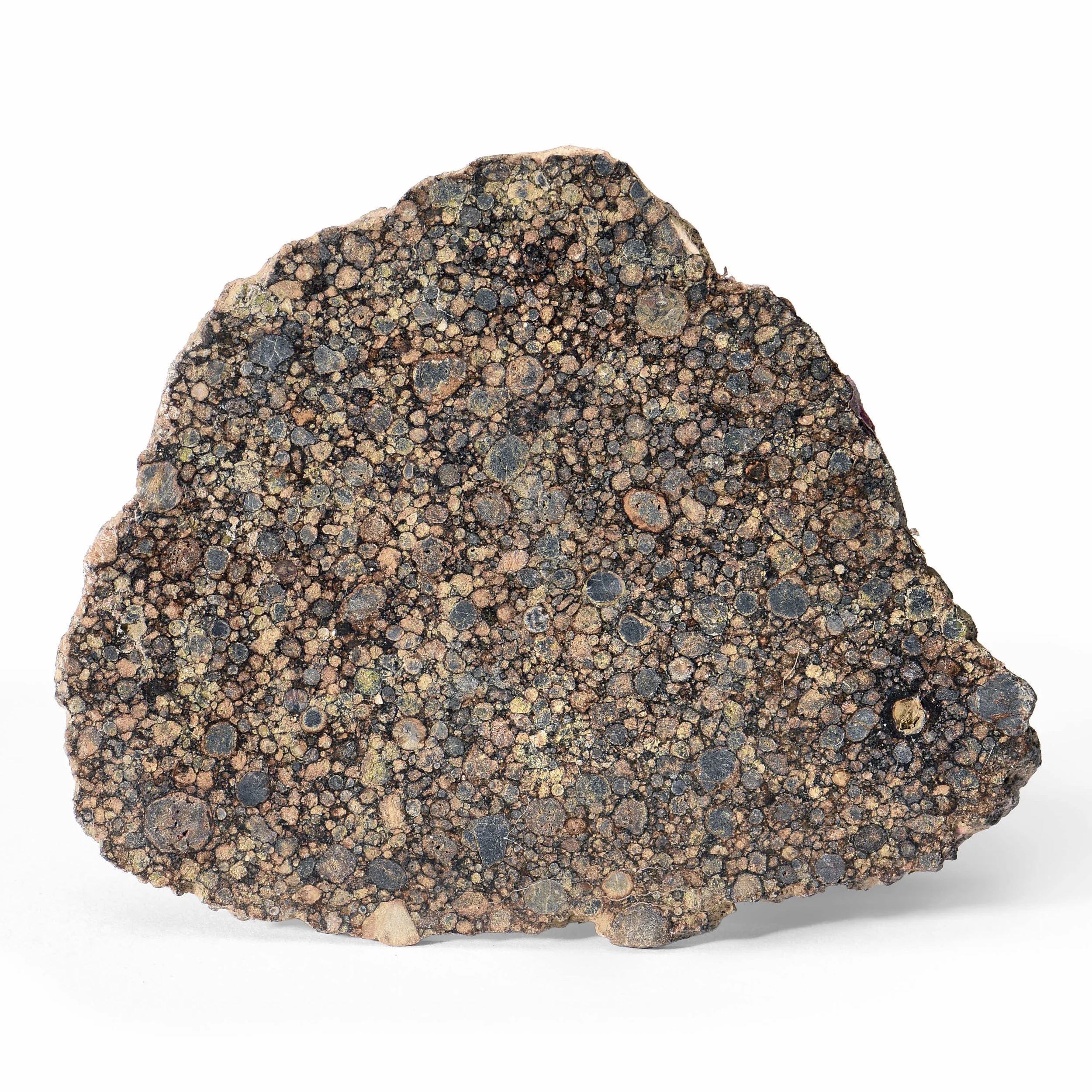 13. NWA 12692 / Complete Slice / LL 3.00 /  ($1250-1750) / $0.00 Res