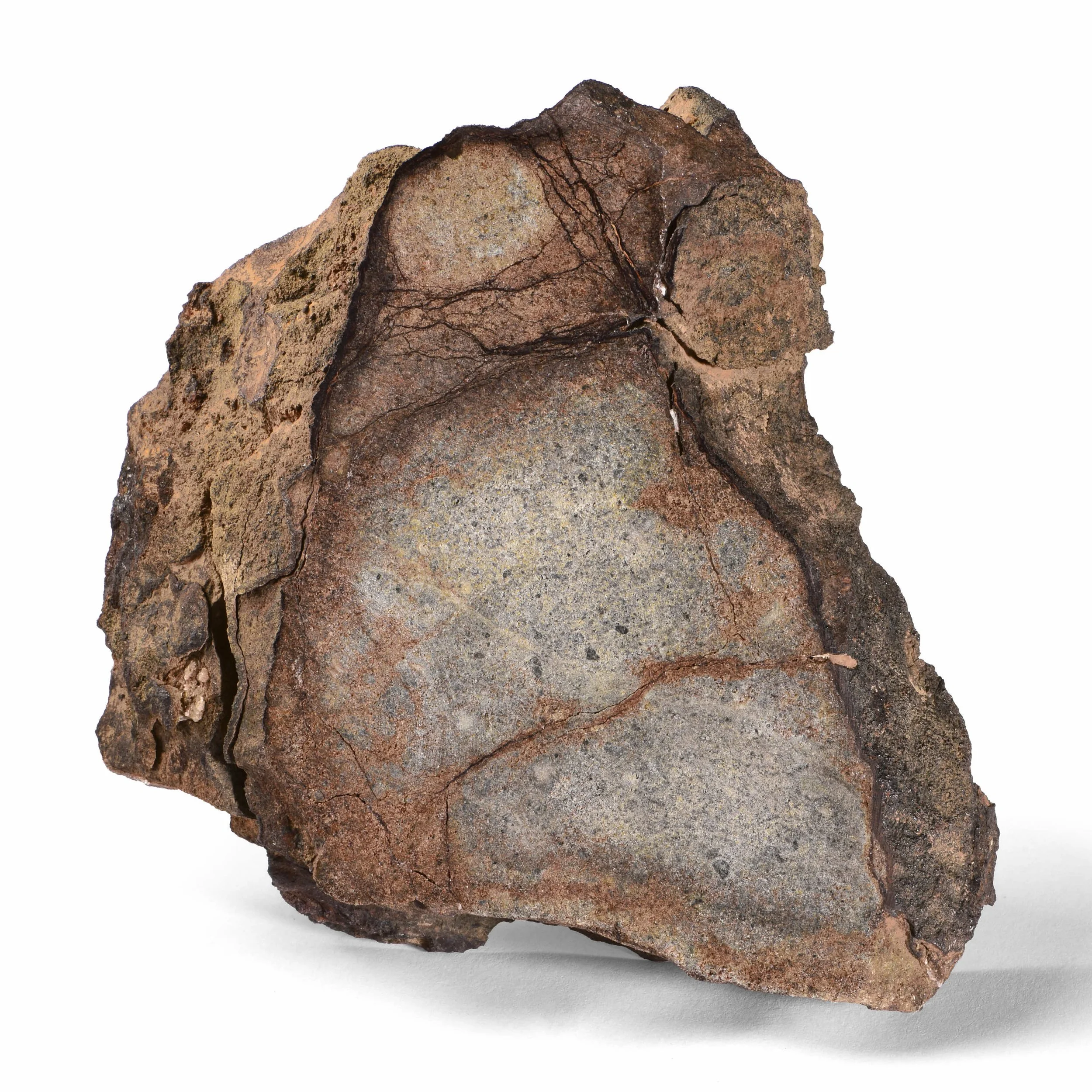 43. AL HAGGOUNIA 001 / Complete SLAB / EL /  ($250–400 / $0.00 Res)