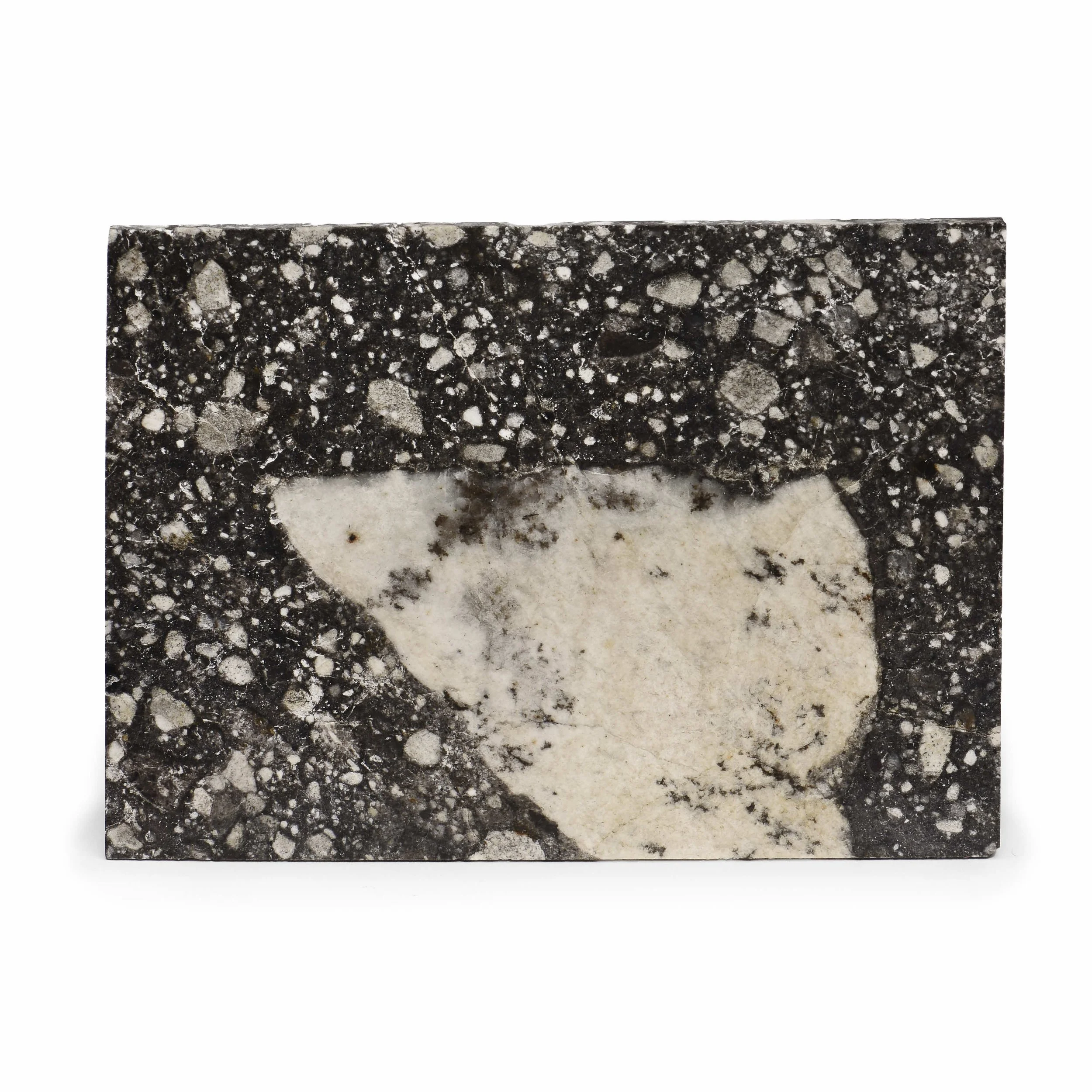 5. NWA 12691 / Partial Slice / Lunar /  ($1500–2500 / $1000)