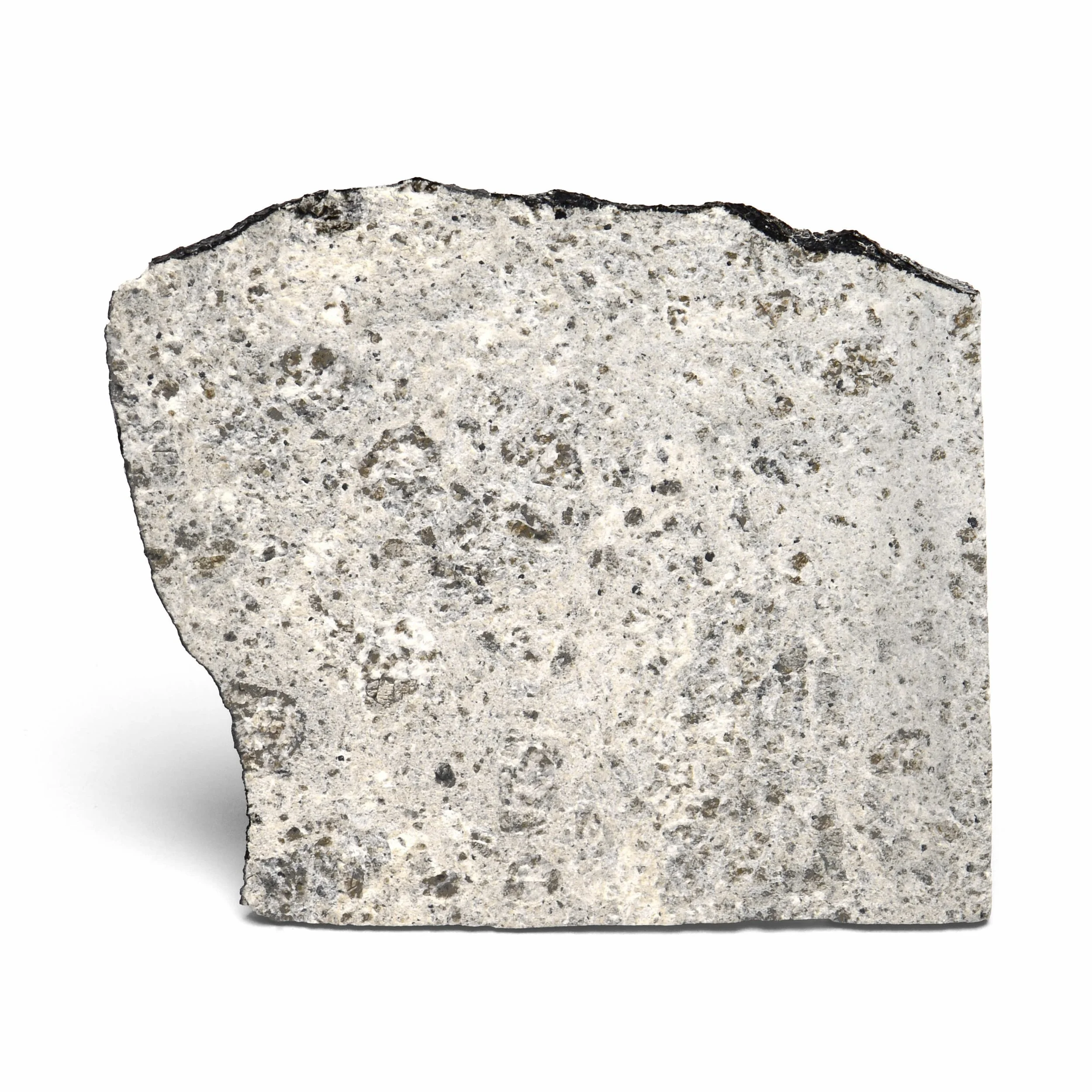 45. TALAMPAYA / Partial Slice / EUC-cm /  ($1500–2000 / $1000)