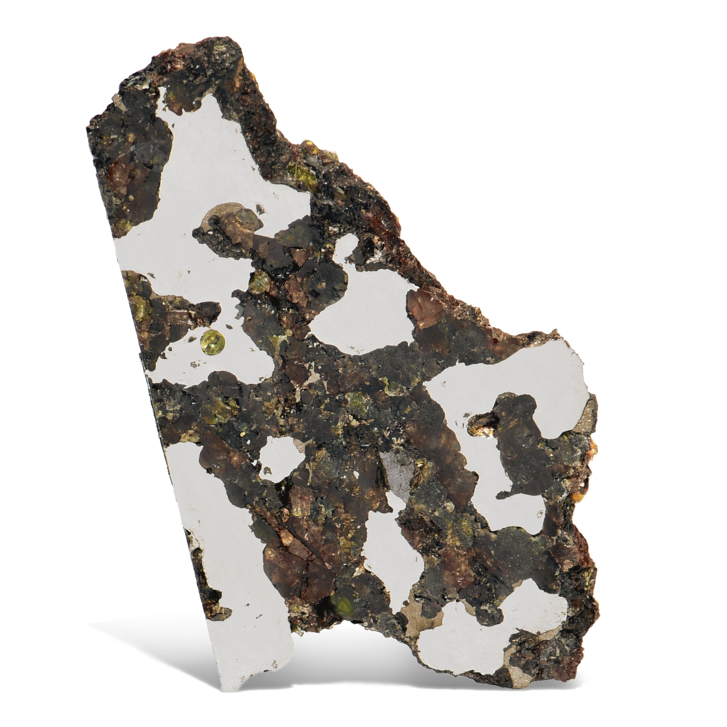 7. STEINBACH / Partial Slice / IVA-anom /  ($1000–1500) / $0.00 Res