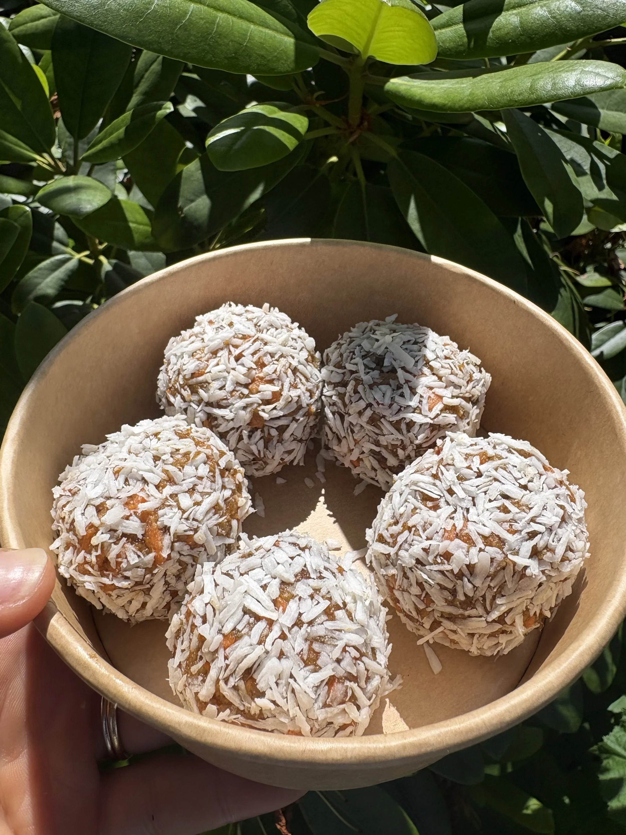 Carrot cake Balls.jpg