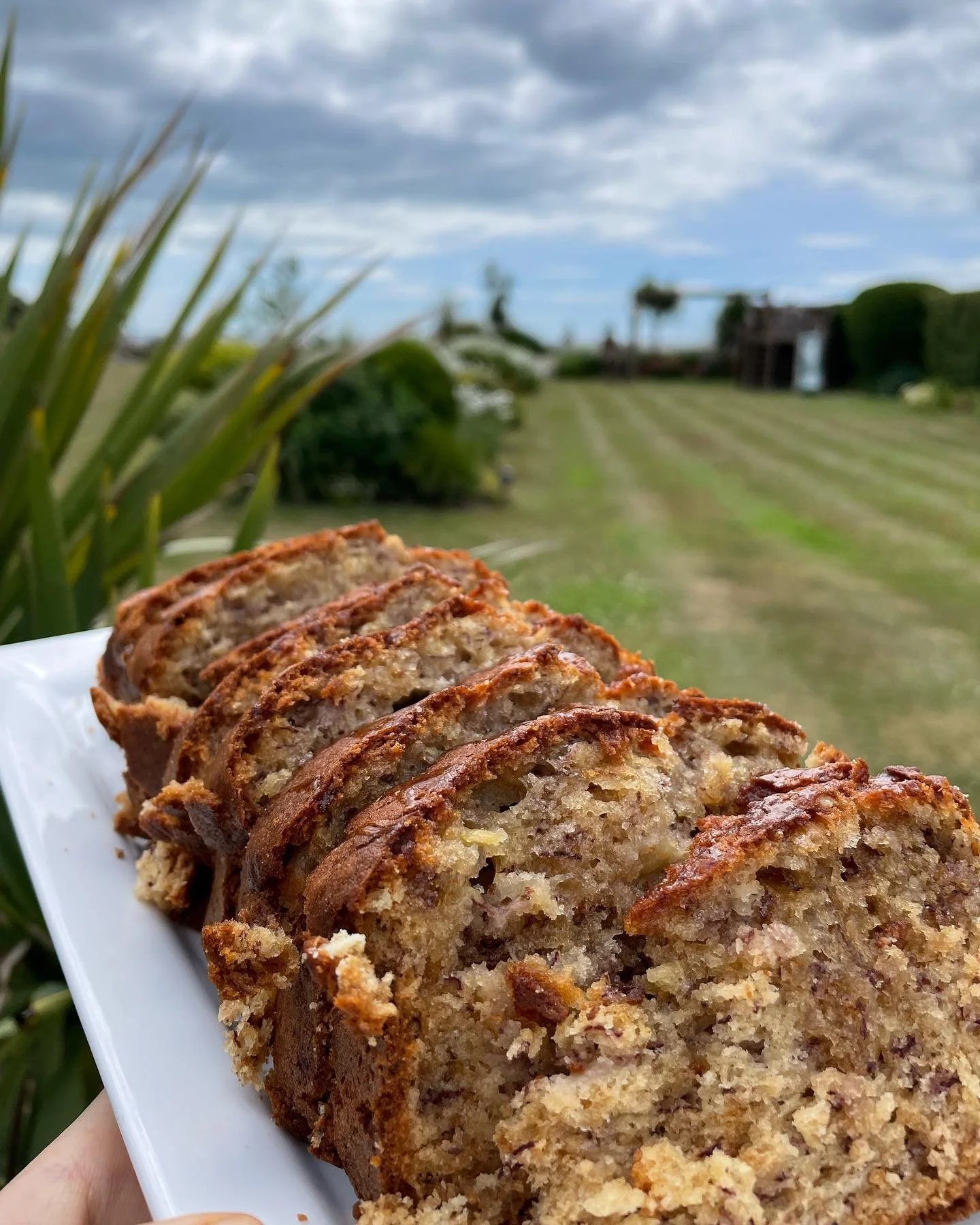 Just a warm, fudgey mid morning banana loaf (x2) to keep everyone on the retreat going until lunch!

Nothing fancy just freakin delish. 

Only use extra brown, seriously over ripe bananas otherwise the flavour just won&rsquo;t come through and the mo