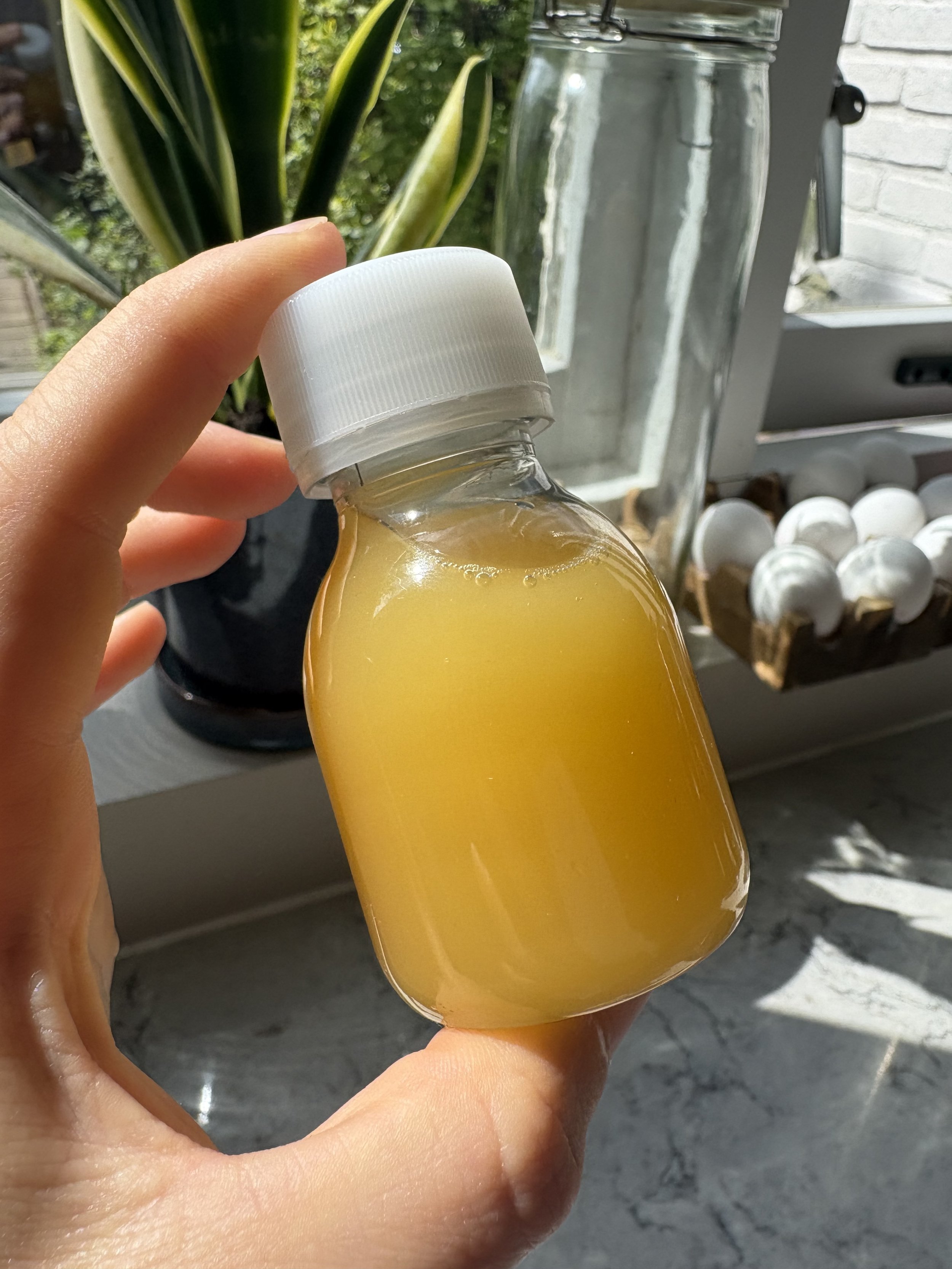 Apple, Ginger & Lemon Shot (GF, DF, Ve)