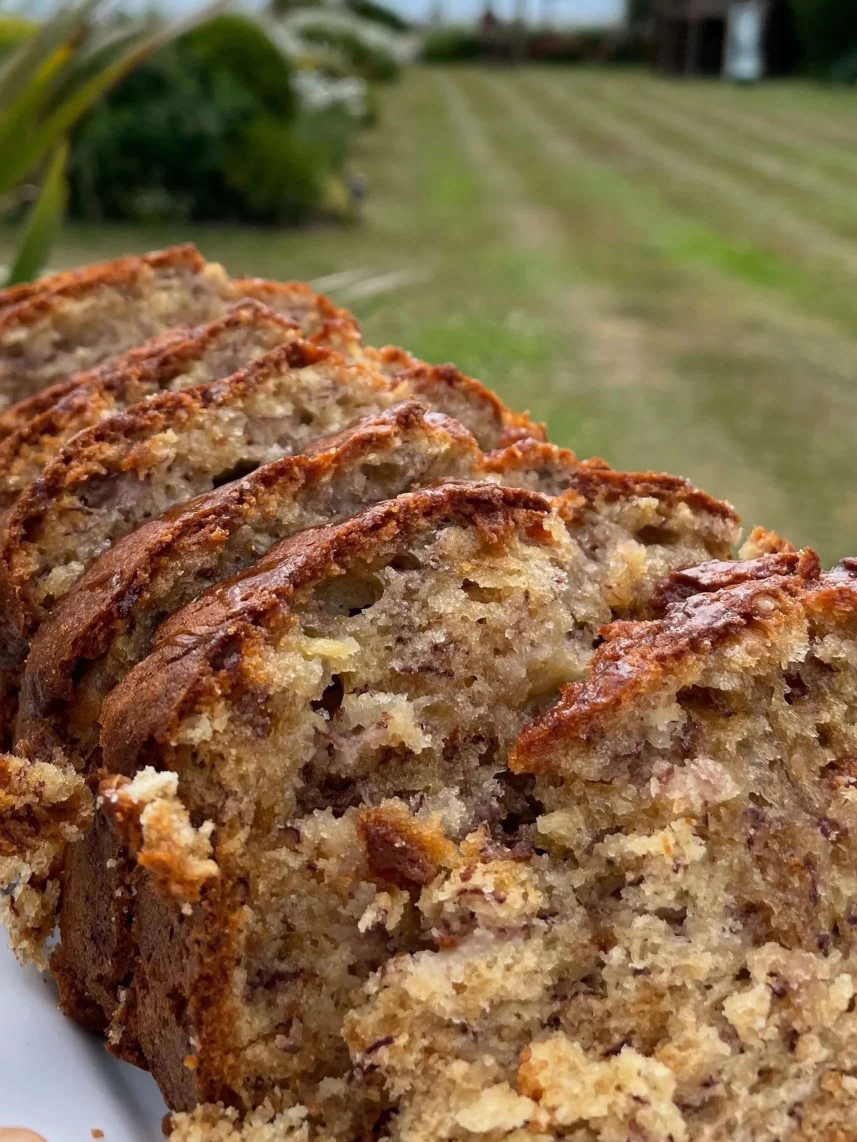 Fudgy Banana Bread Slice