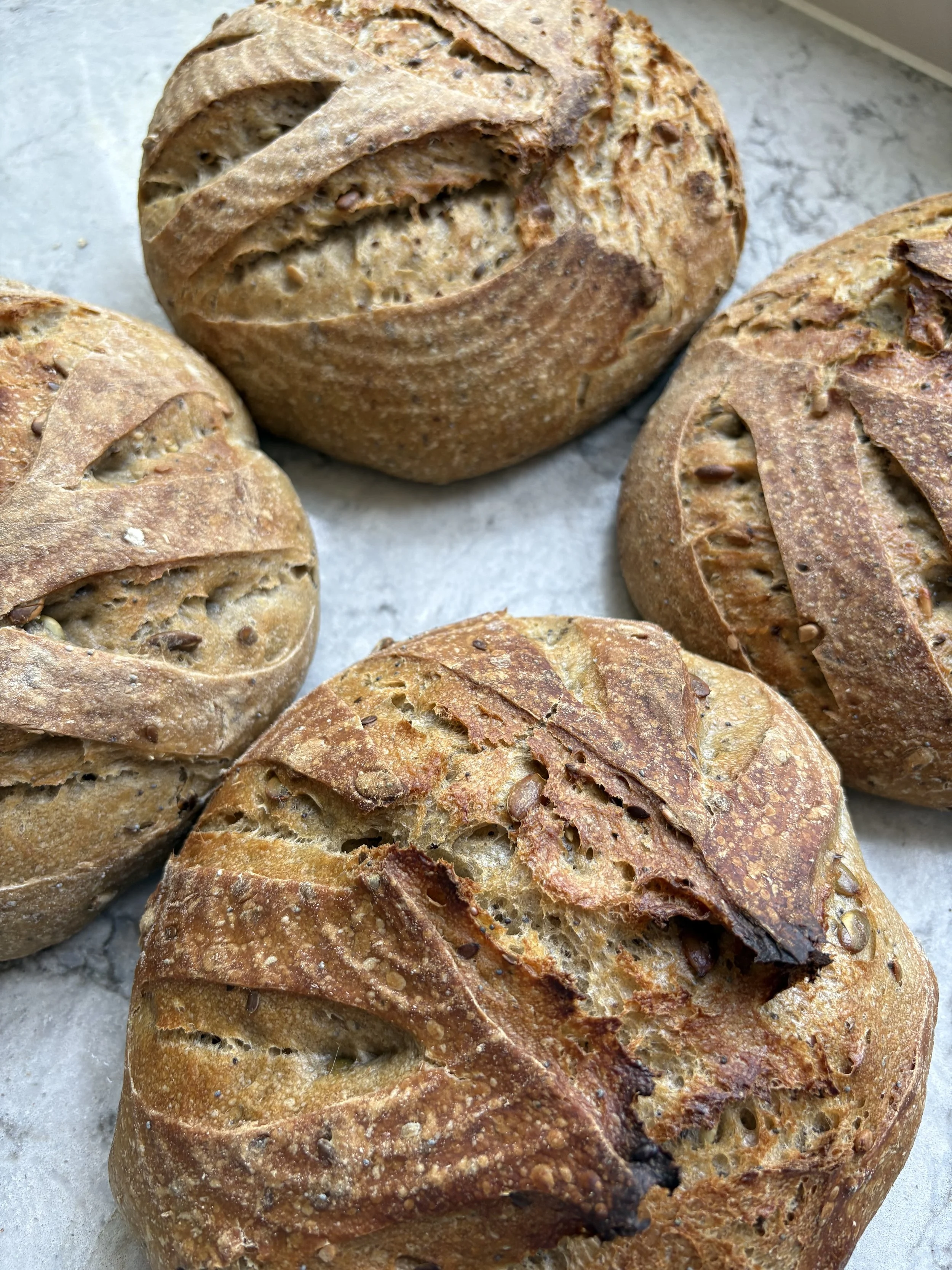 Sourdoughbreads.jpg