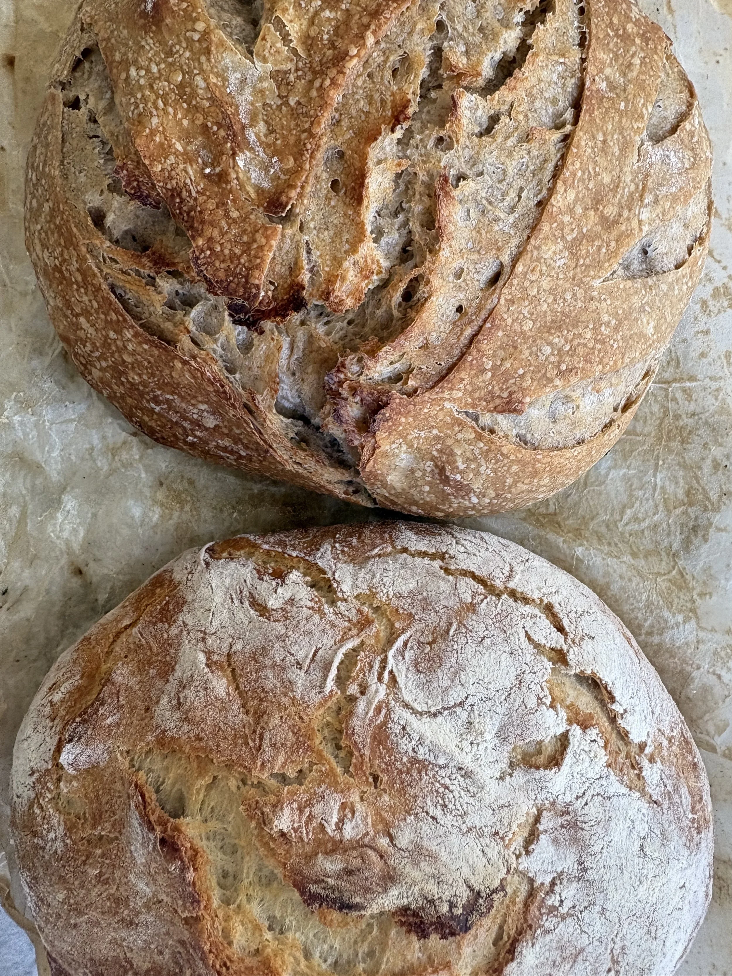 BREADS.jpg