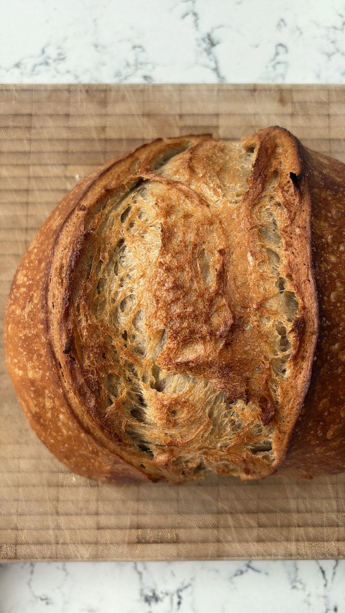 Organic Sourdough (DF, Ve)
