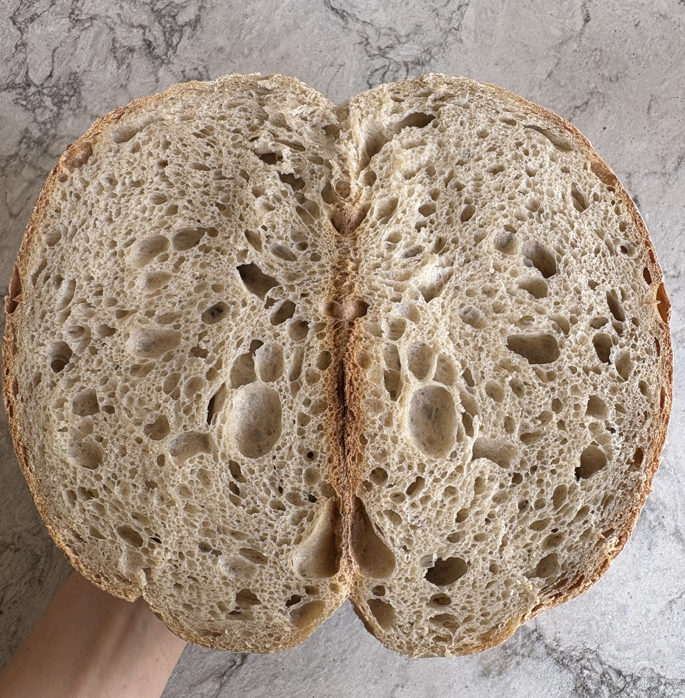 sourdough.png