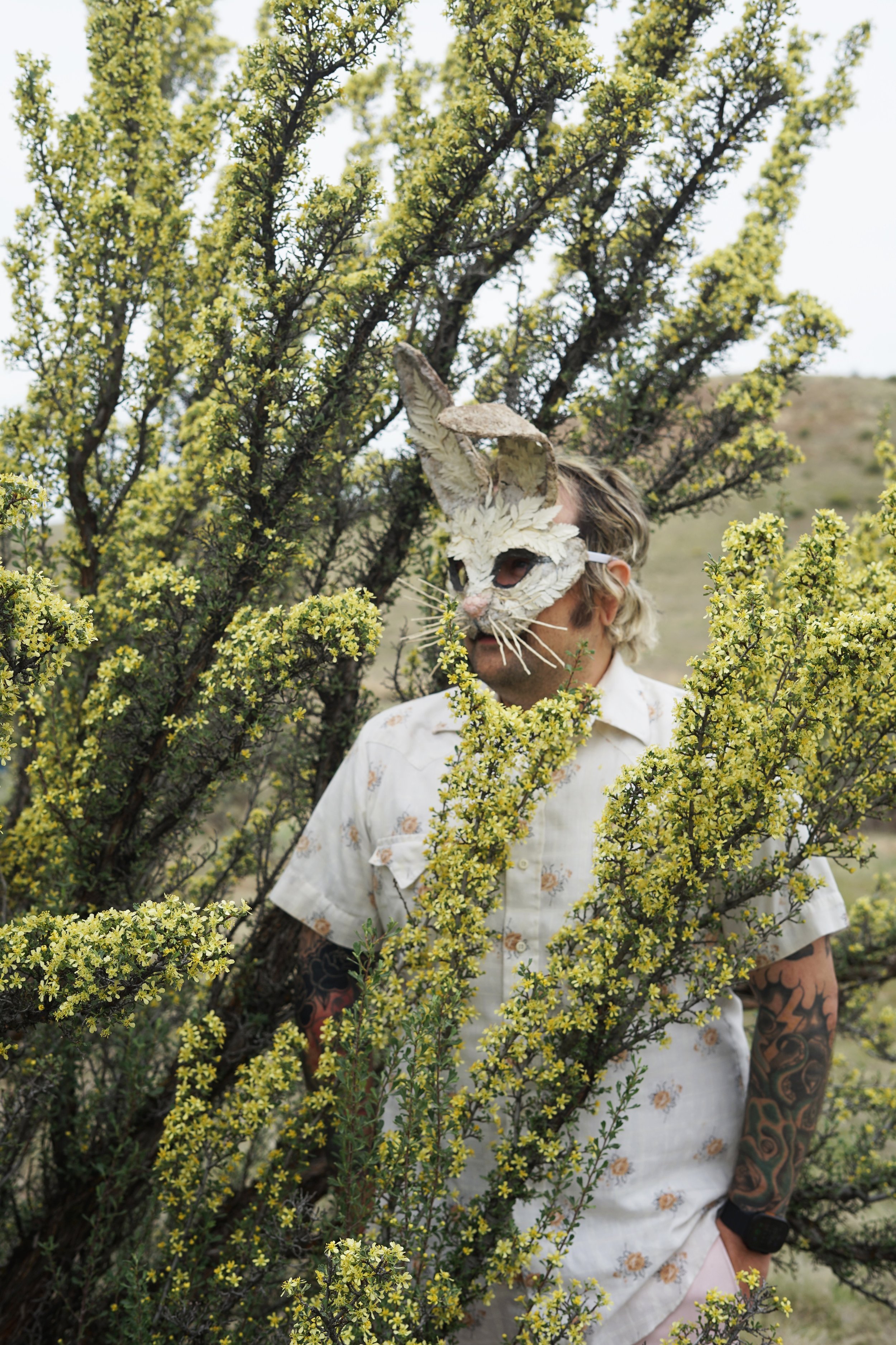 hares30.jpeg