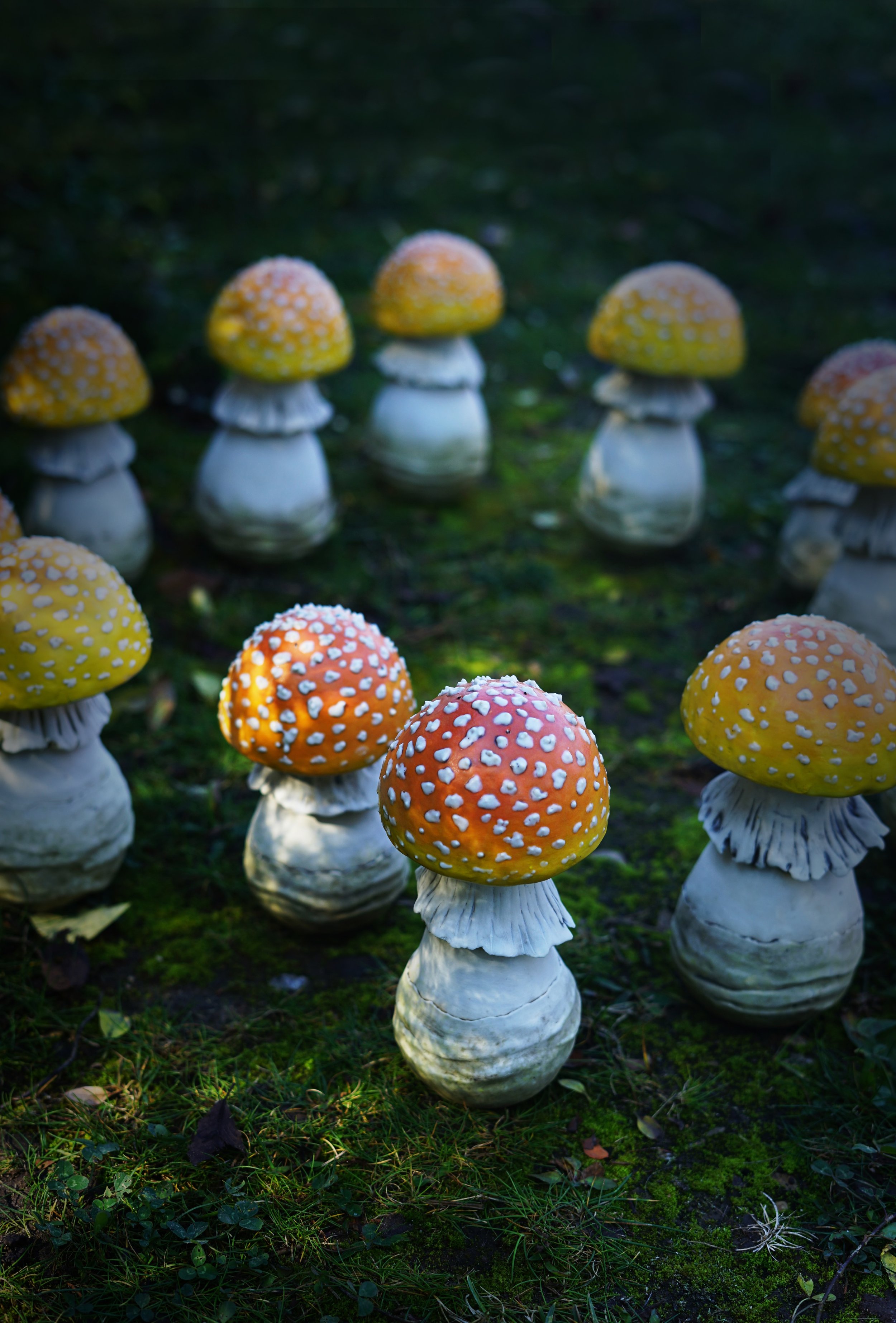 mushrooms 2.jpeg