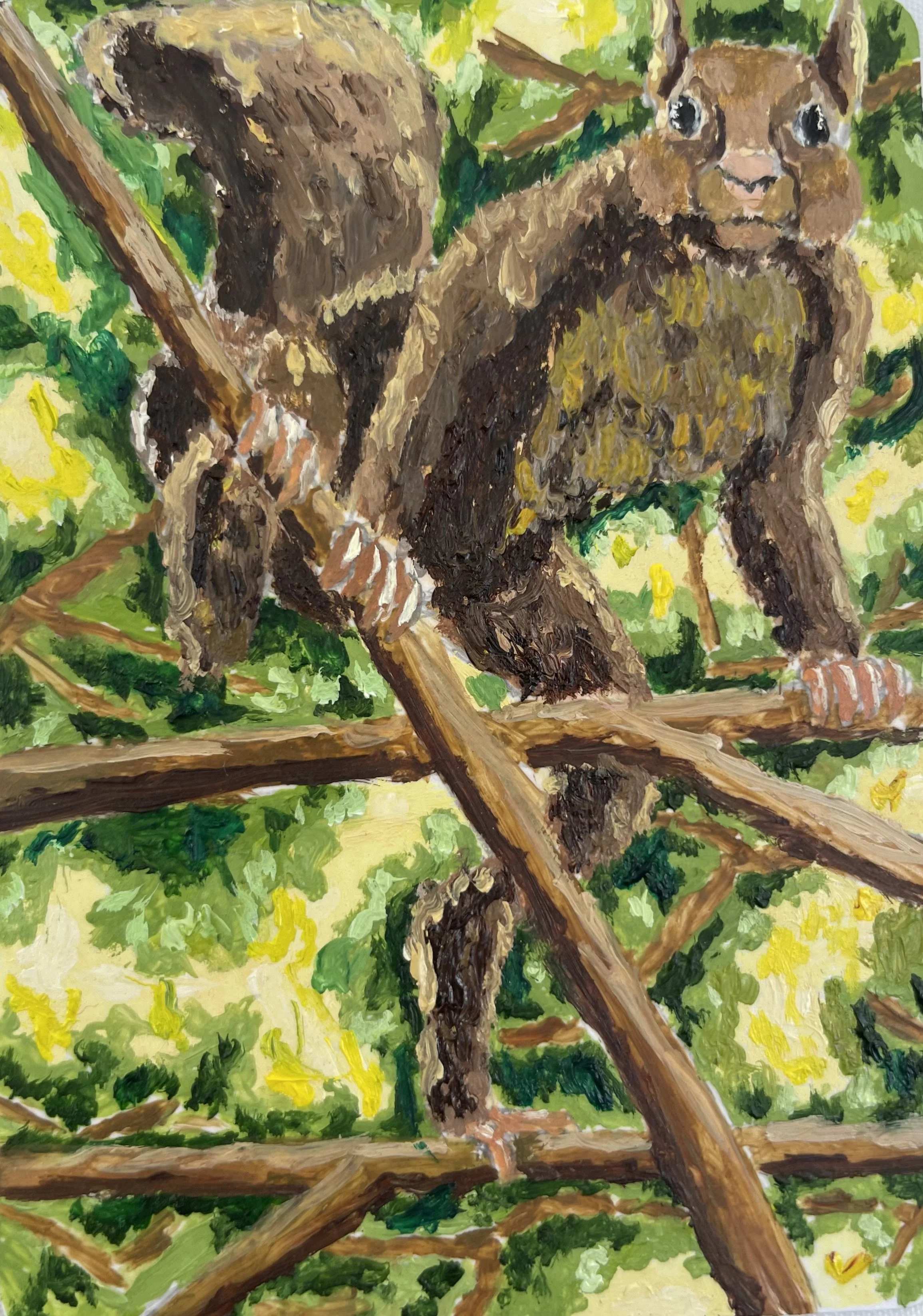 Squirrel.jpg