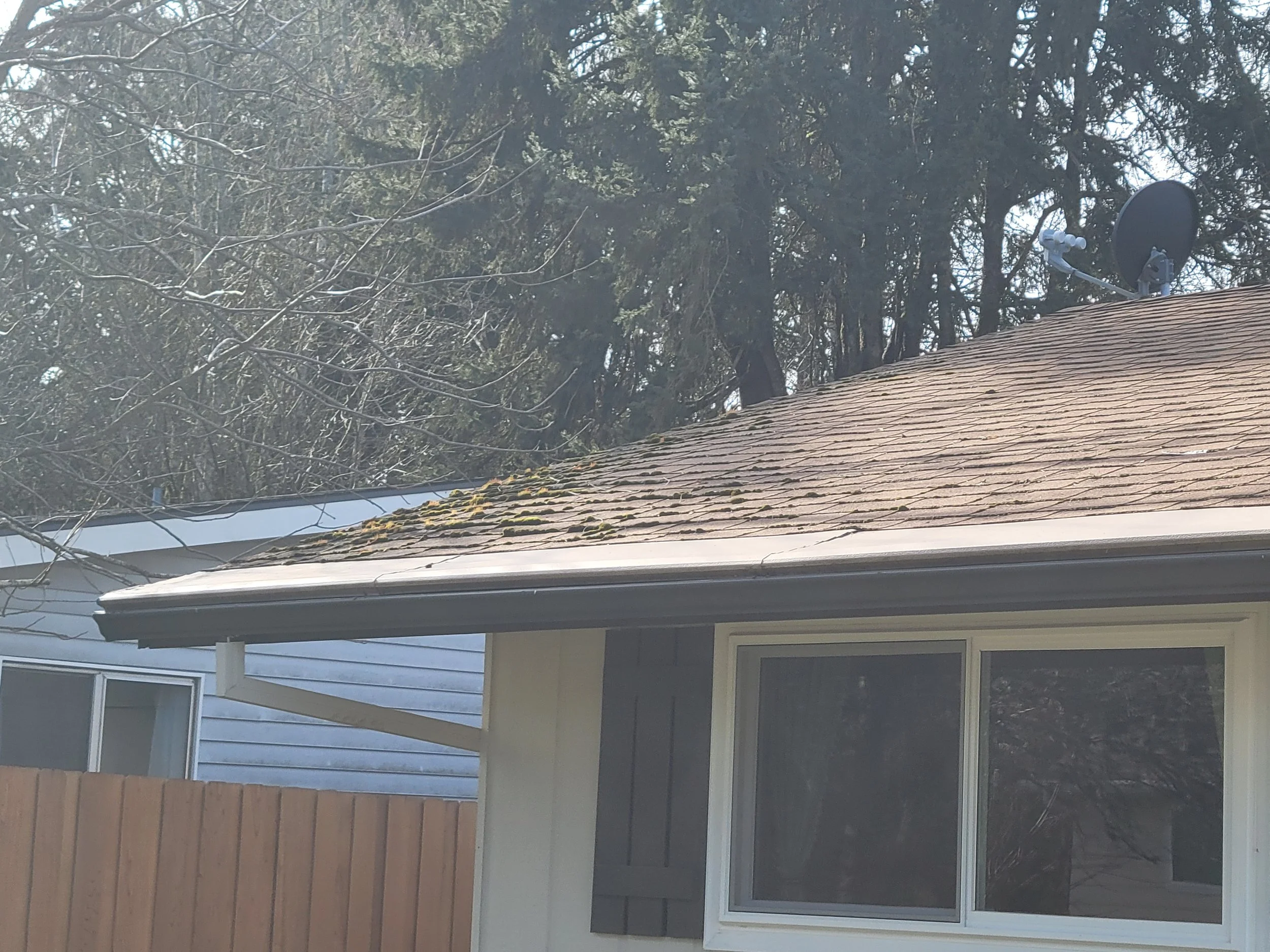 Close-up of house with brown shingle roof, satellite dish, and trees in the background.
